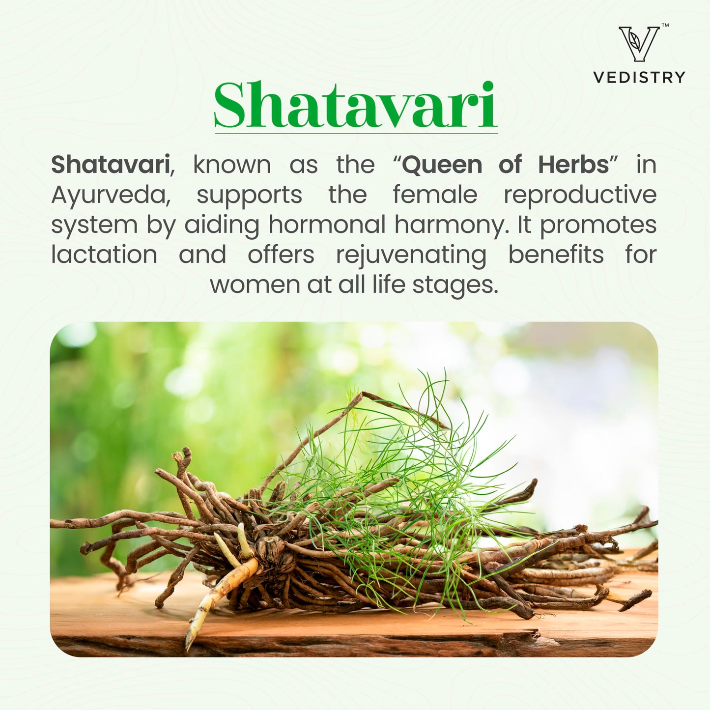 Vedistry Shatavari+ Tablets for Hormonal Balance, Menopause Support with Shatavari & Piperine, Lactation & Uterine Vegan Herbal Supplement for Energy, Reproductive Health with Long Pepper, 60 Tablets