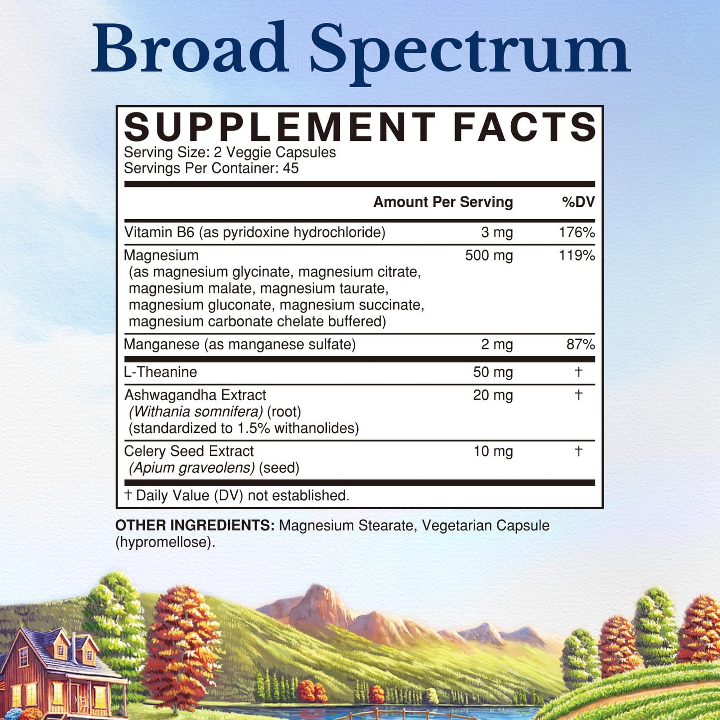 Vitalitown Magnesium Complex Supplement Capsule, 90 Veggie Capsules