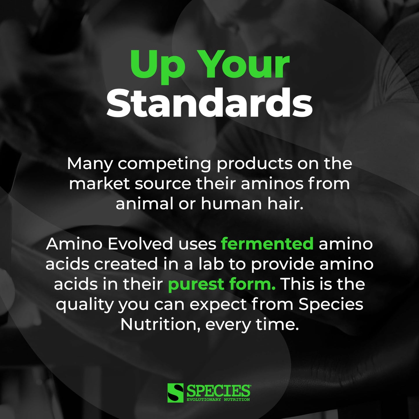 Species Nutrition Amino Evolved EAA & BCAA Powder 13.54 Ounces