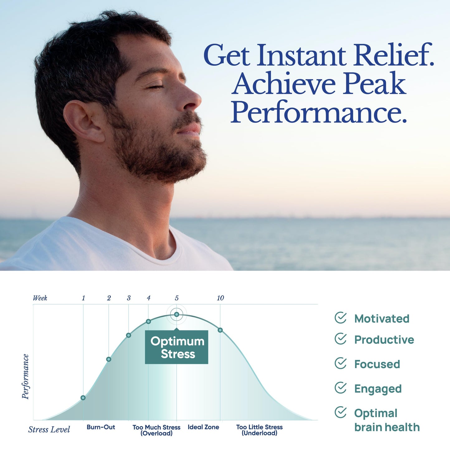 TAHIRO Stress-Relief Brain Support Capsule, 56 Count