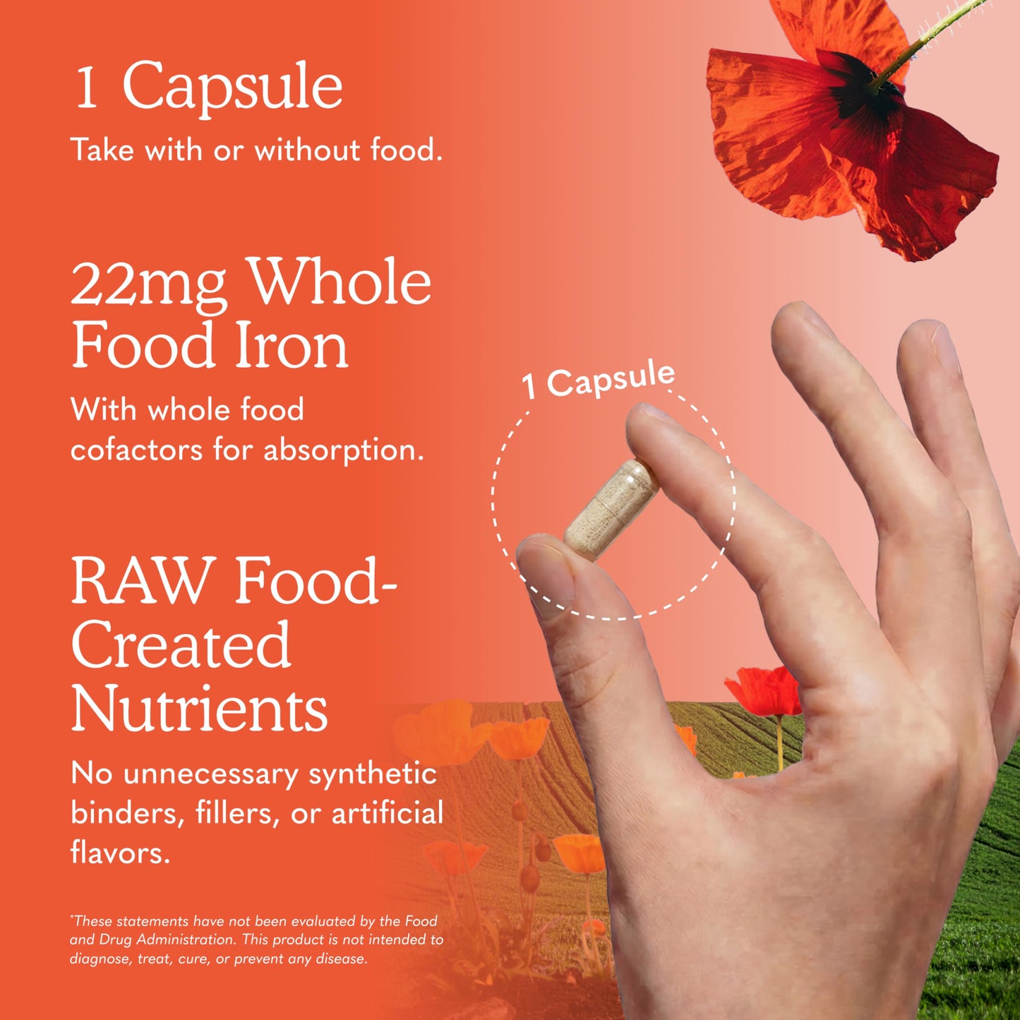 Garden of Life Vitamin Code Raw Iron Supplement 30 Vegan Capsules