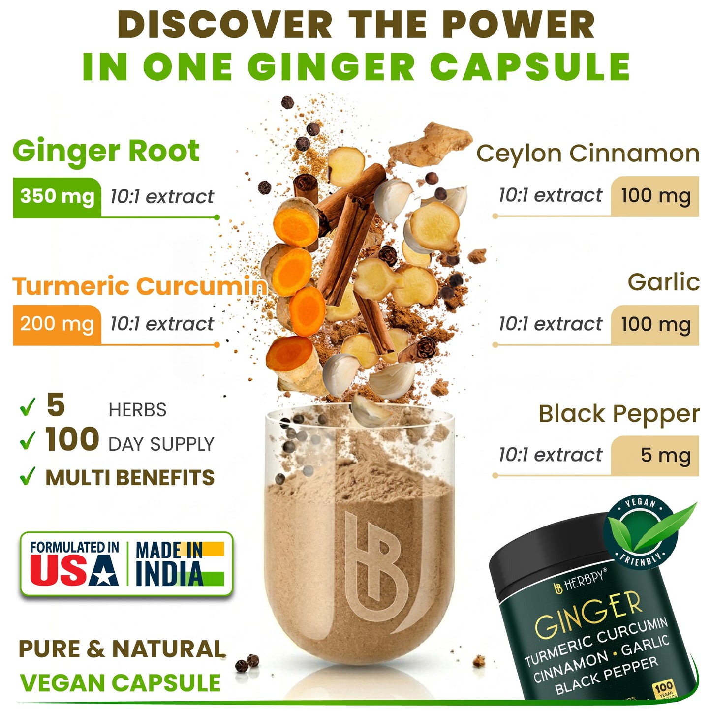 Herbpy 5in1 Ginger and Turmeric Capsules, 100 Count