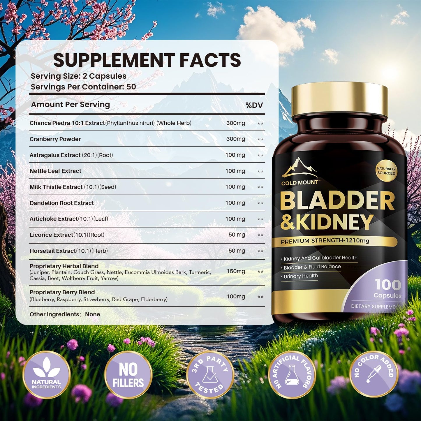 MEGNETA Kidney Bladder Premium Blend Traditional Supplement Capsule 200 Capsules