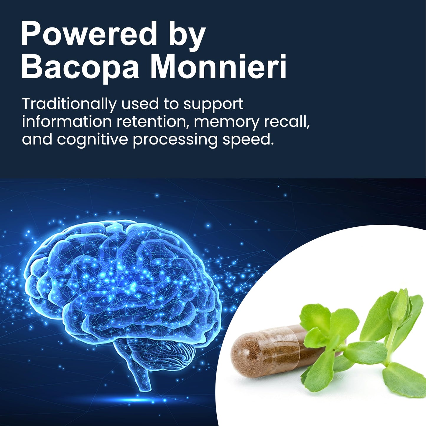 Pure Prana Bacopa Monnieri (Brahmi) Capsules, 60 Capsules