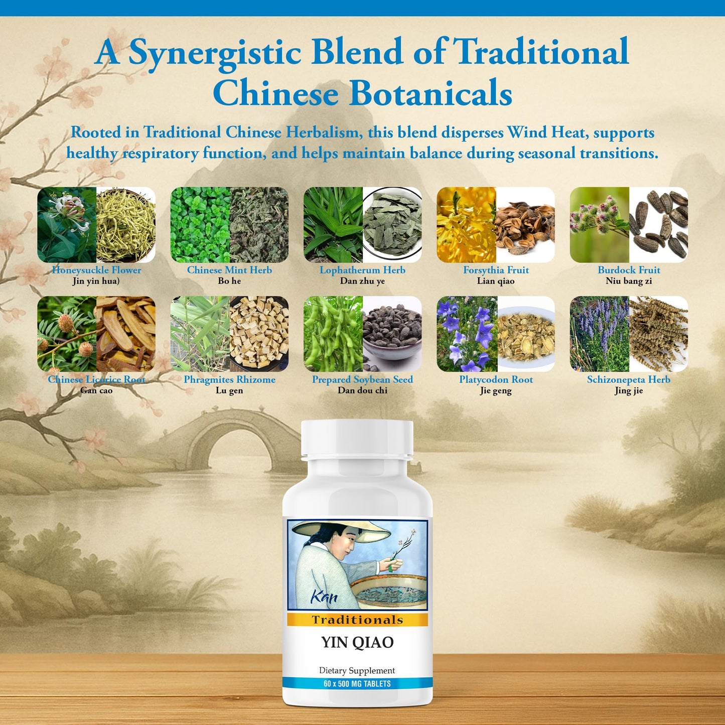 Kan Herbs Yin Qiao Formula – Traditional Chinese Herbal Blend with Honeysuckle & Forsythia for Seasonal Balance and Respiratory Wellness, 60 Tablets