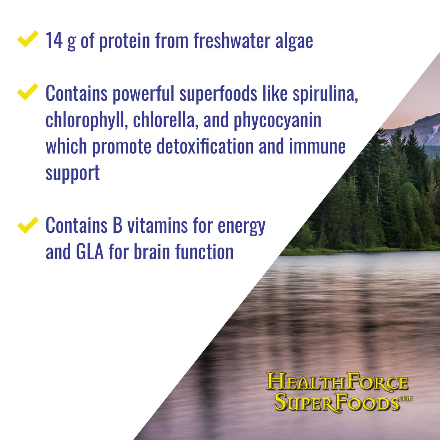 HealthForce SuperFoods Green Protein Alchemy Powder, 500 g