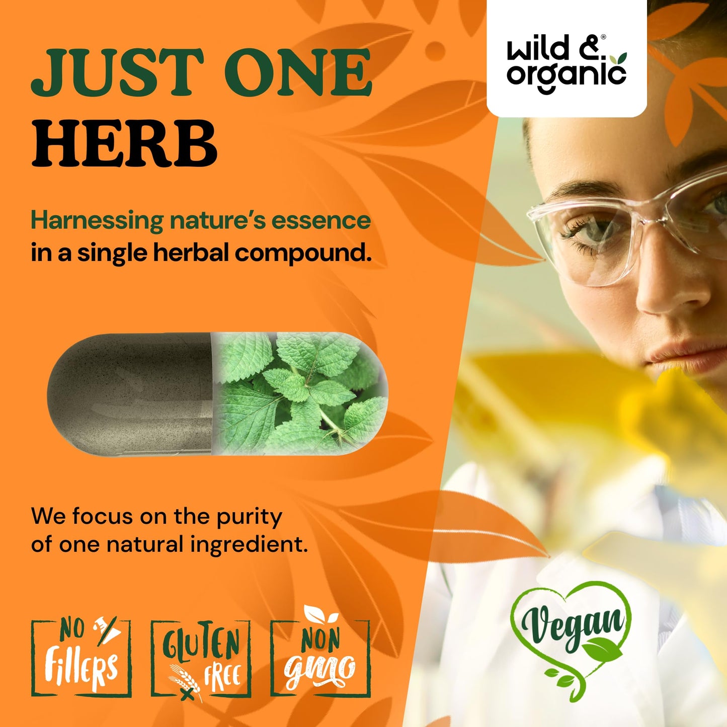 Wild & Organic Stinging Nettle Capsules 120 Count