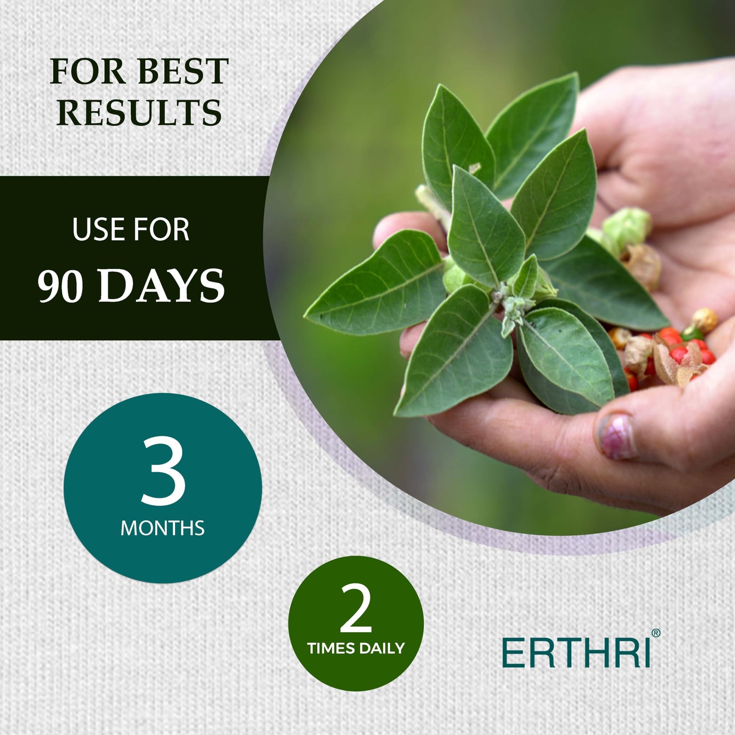 ERTHRI Gotu Kola Tablets 100% Organic 10,000mg, 90 Tablets