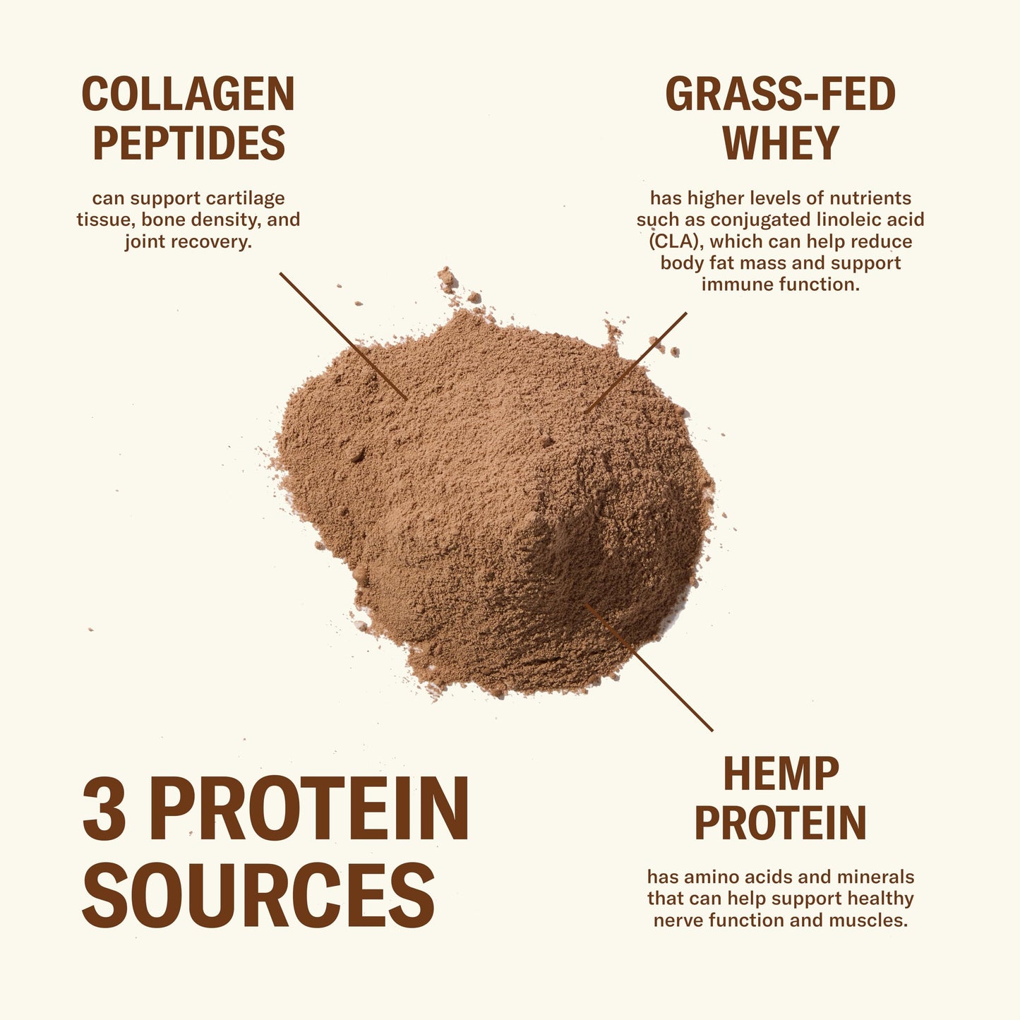 Ballerina Farm Grass Fed Whey Protein Powder Creamy Chocolate, 20 Servings