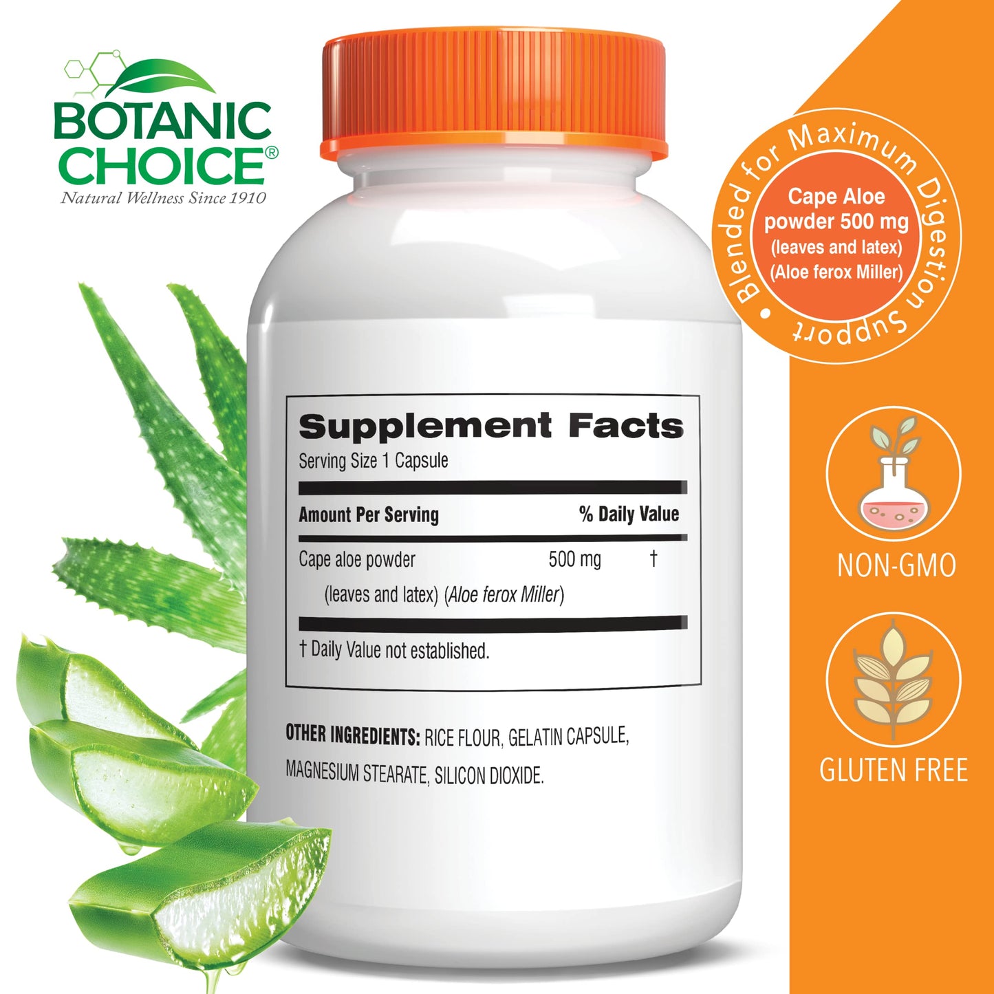 Botanic Choice Mega Fruits and Veggies Blend + Aloe Vera Bundle Capsules, 2-Pack