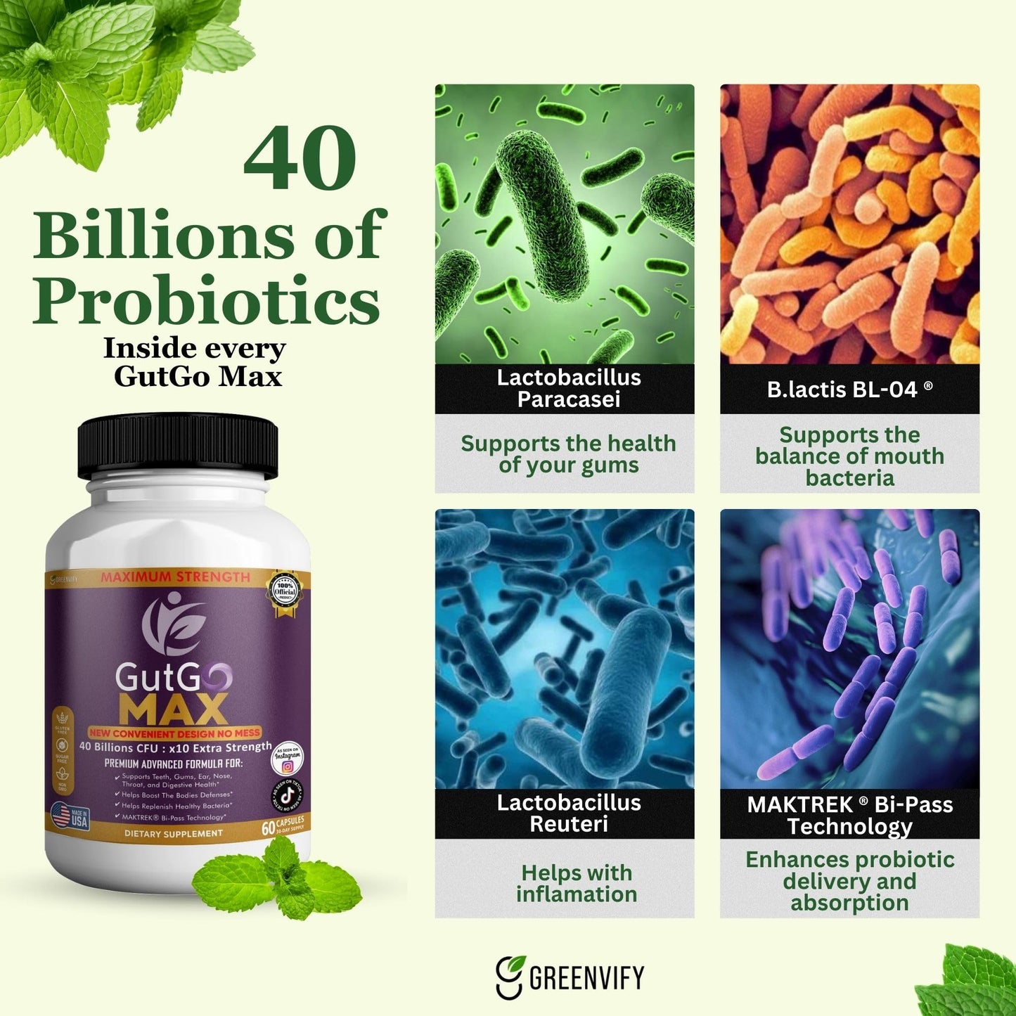 GREENVIFY GutGo Max Probiotic Supplement Capsule, 60 Capsules, 40 Billion CFU, Maximum Strength, Gluten Free, Sugar Free