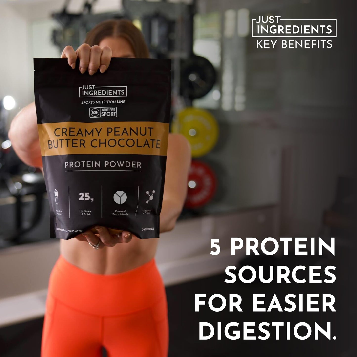 JUST INGREDIENTS Creamy Peanut Butter Chocolate Protein Powder, 25 Servings