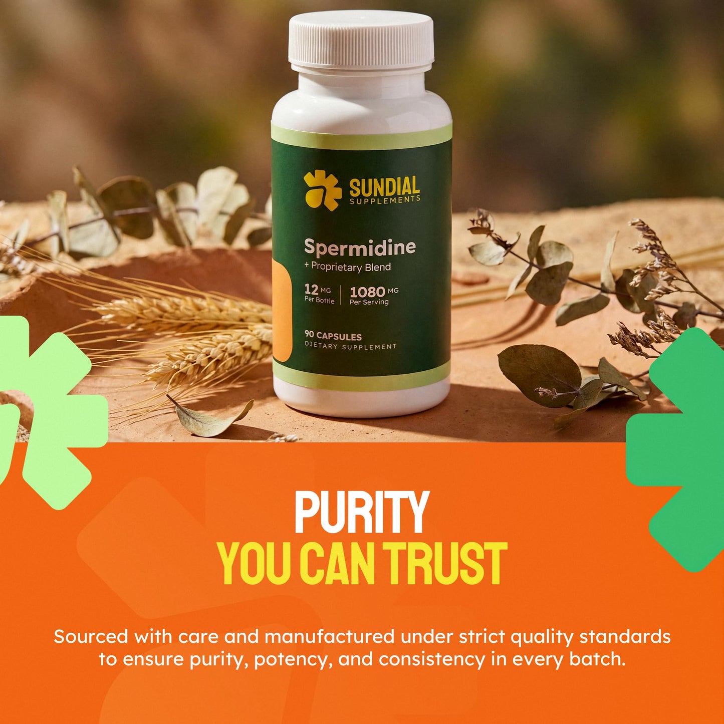 Sundial Supplements Spermidine 12 mg with Proprietary Blend, NR, NMN, PQQ, Magnesium Bisglycinate, Black Pepper, Adult Daily Supplement Capsule, 90 Capsules