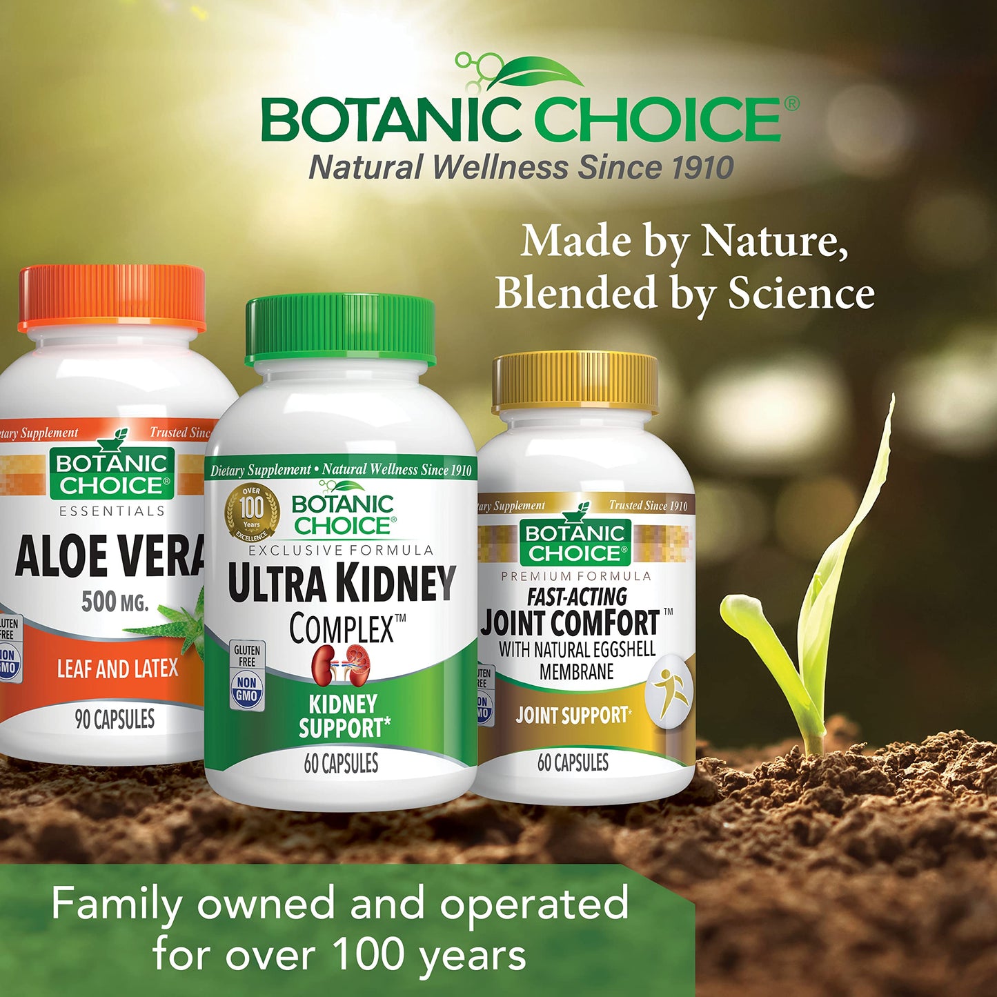Botanic Choice Ultra Kidney Complex Capsules 60 Count