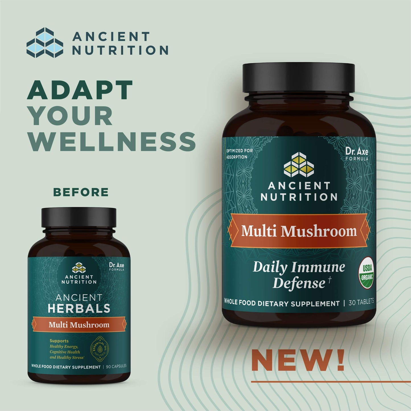 Ancient Nutrition Mushroom Supplement Organic Multi Mushroom Immune Support, 60 Tablets