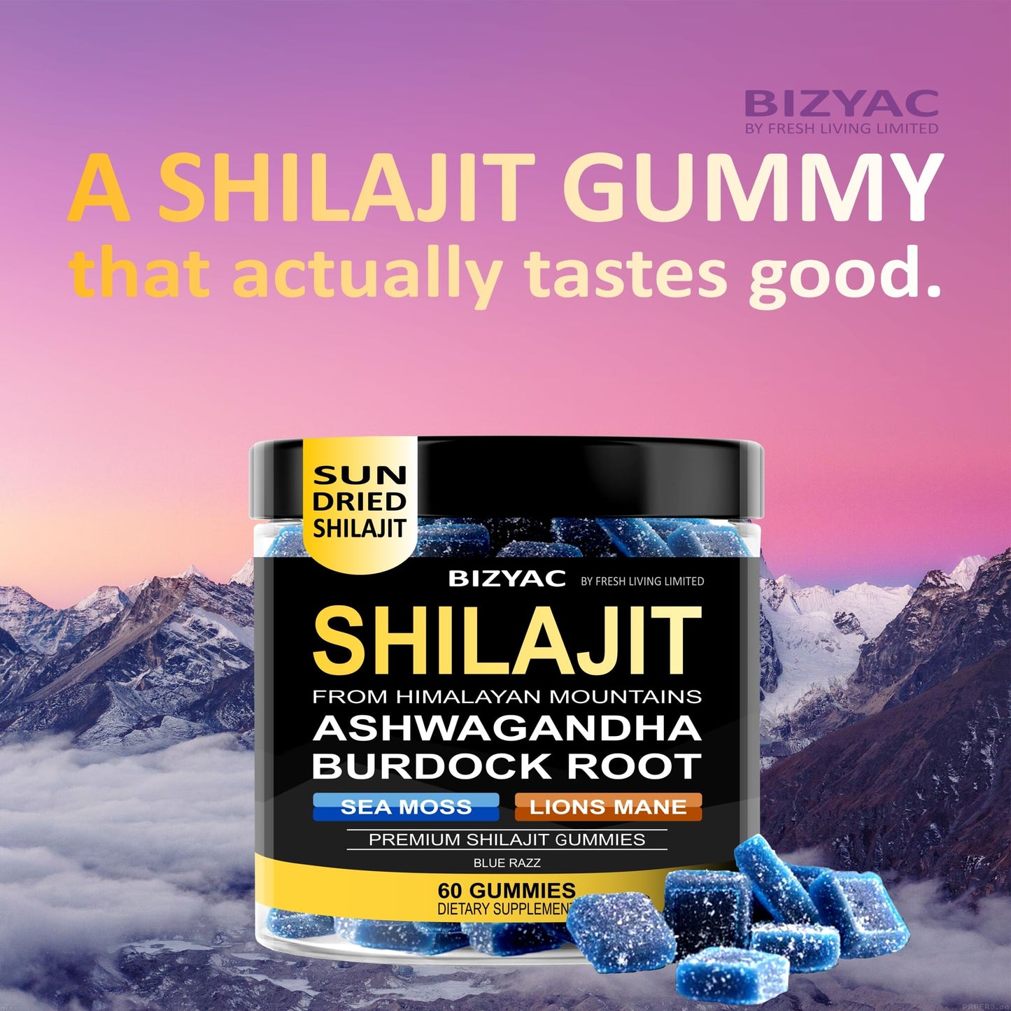 BIZYAC Shilajit Gummies, 60 Gummies