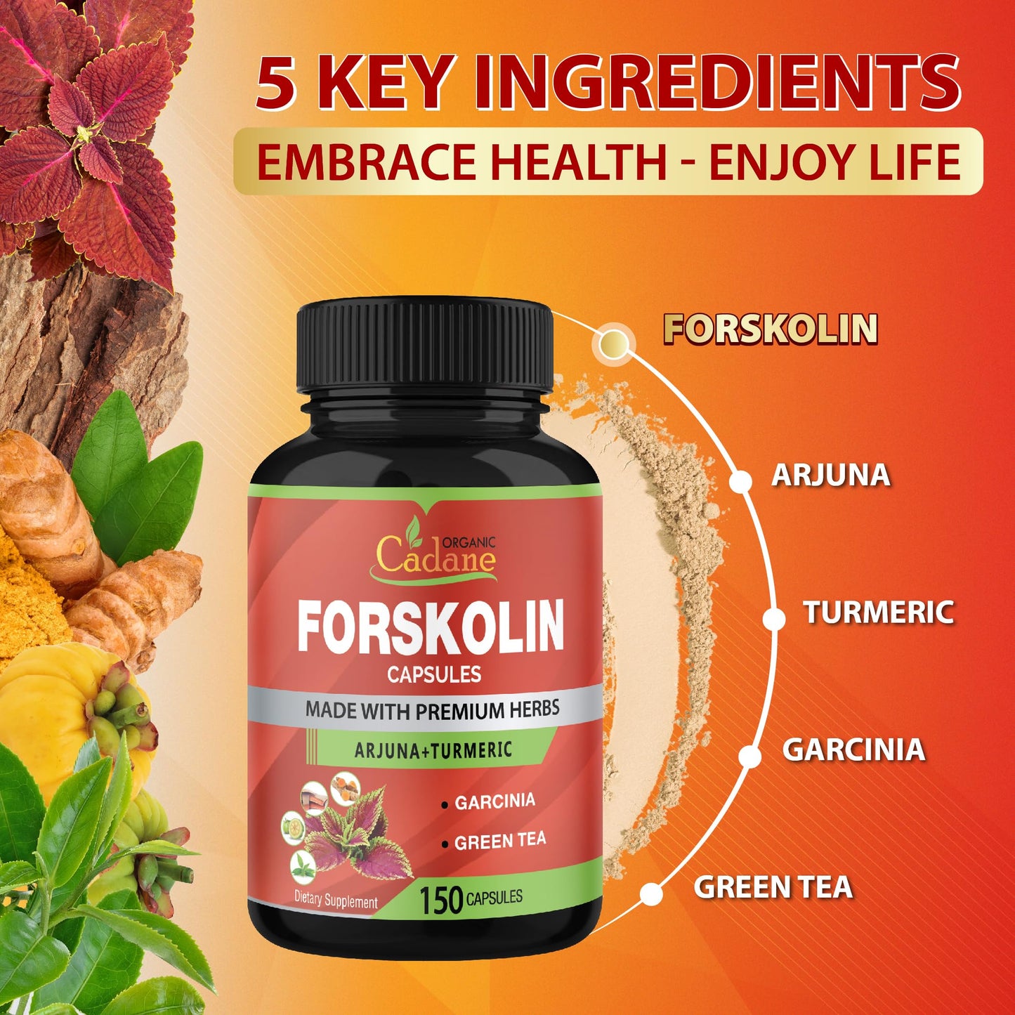 Organic Cadane Forskolin Supplements 5in1 with Turmeric Curcumin, Arjuna, Garcinia Cambogia, and Green Tea Capsules 150 Count