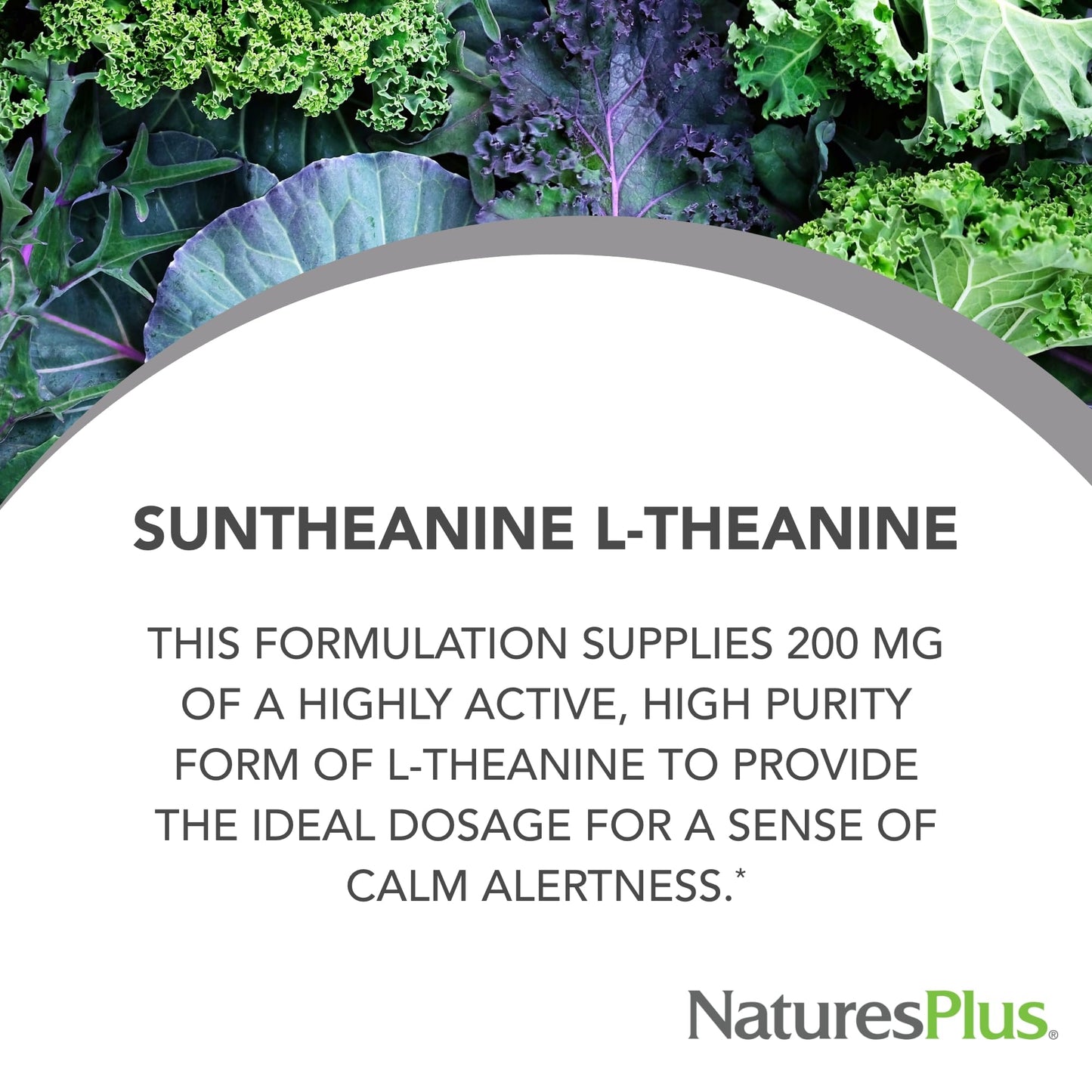 NaturesPlus PRO Suntheanine L-Theanine Capsules 60 Count