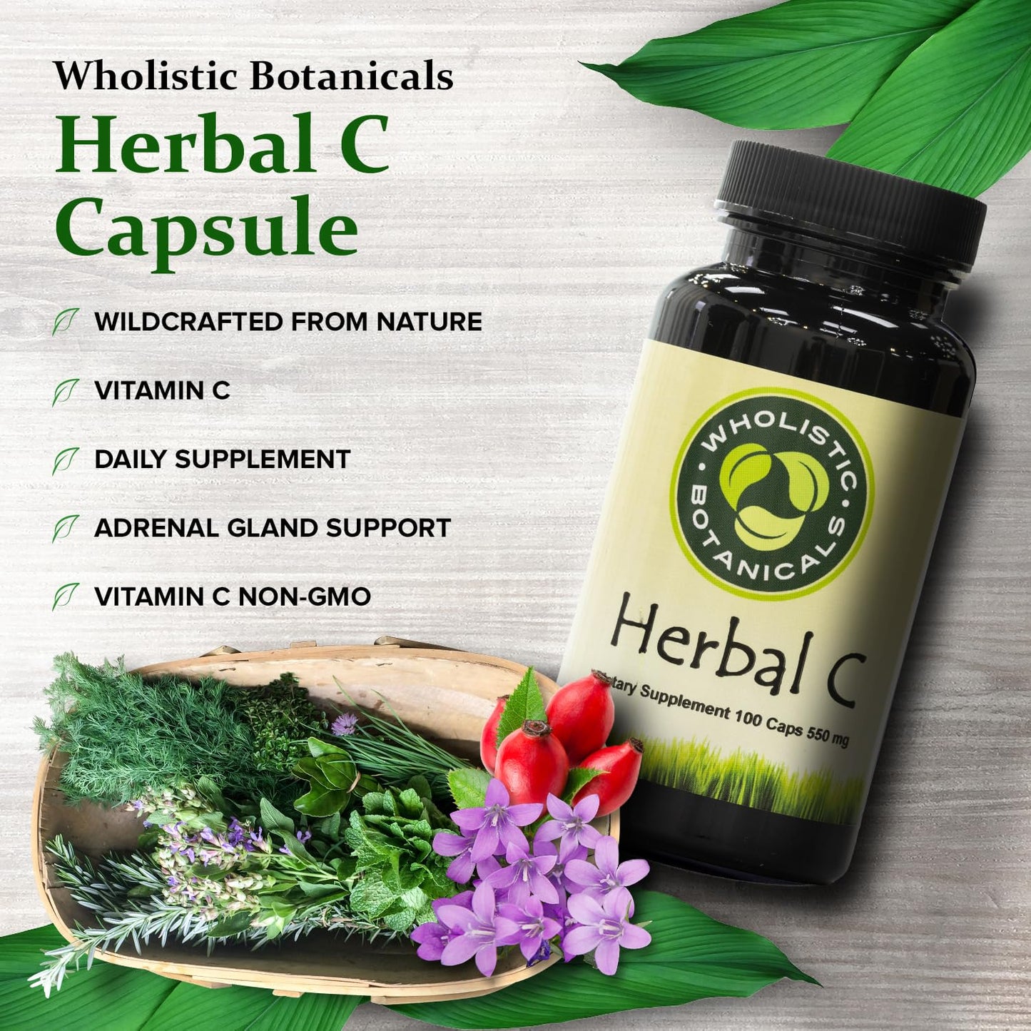 Wholistic Botanicals Vitamin C Capsule 100 ct
