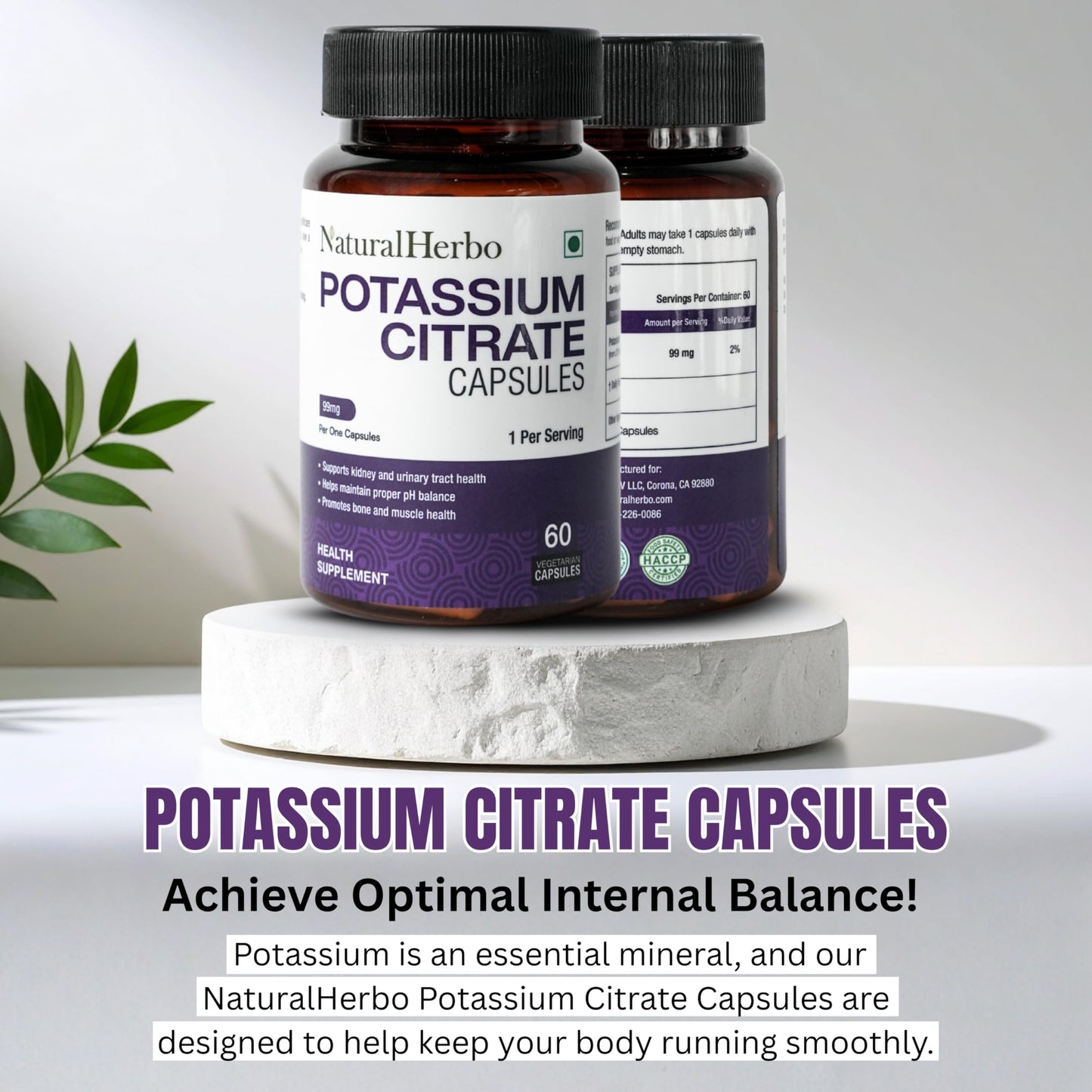 NaturalHerbo Potassium Citrate Supplement 99mg Capsule, 60 Capsules