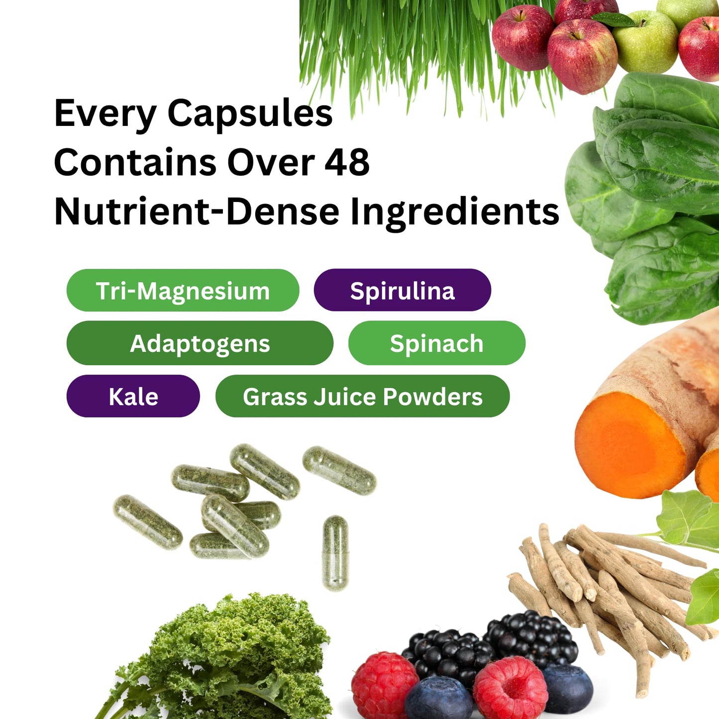 Paradise Herbs Earth's Blend Magnesium Supplement, 90 Vegetarian Capsules