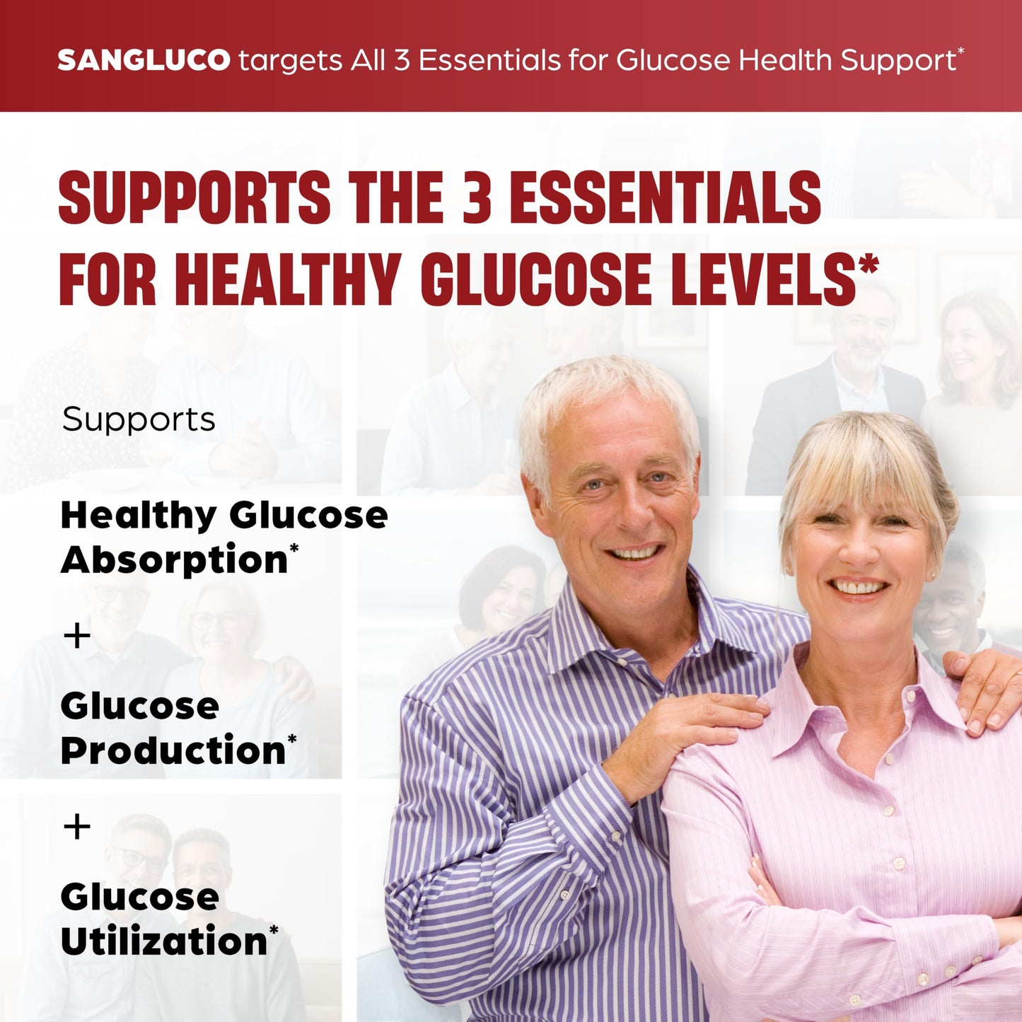 Sandhu's Sangluco Berberine Ceylon Cinnamon Chromium Turmeric Apple Cider Vinegar Bitter Melon Supplement Capsules 60