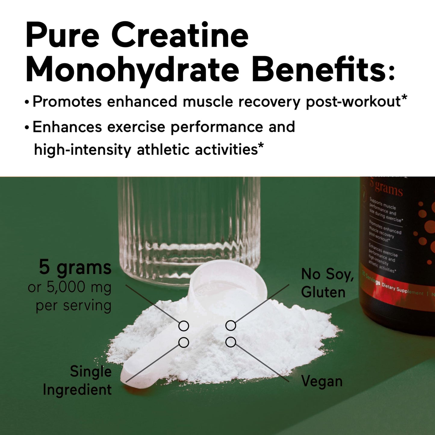 SMARTERNUTRITION Creatine Monohydrate Powder 5.28 Ounce, 30 Servings