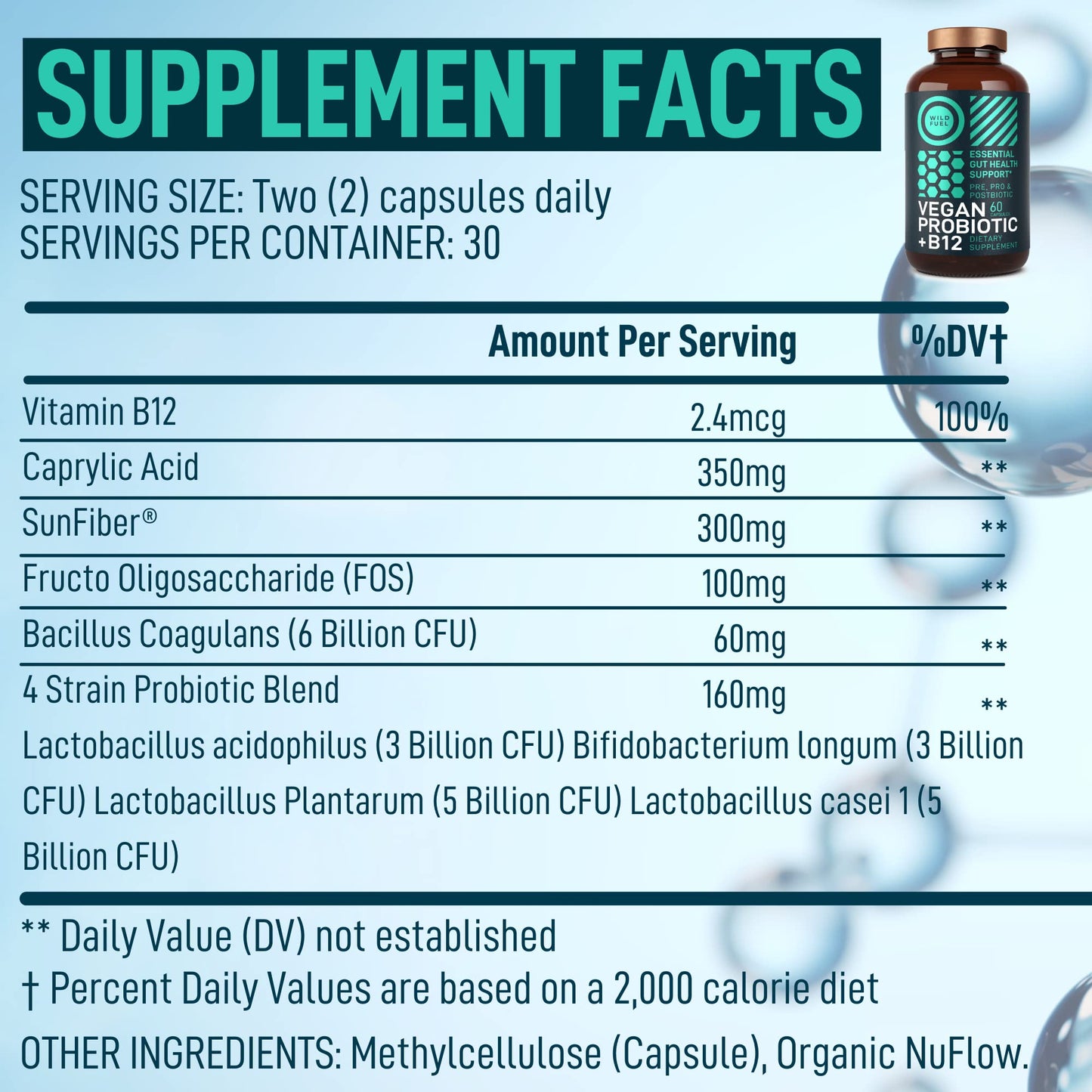 Wild Fuel Vegan Probiotic Plus B12 & FOS 22 Billion CFU Synbiotics Prebiotics and Probiotics for Digestive Health, IBS, Mood Support - B12 Pre Pro Post Biotics for Women & Men - 60 Capsules