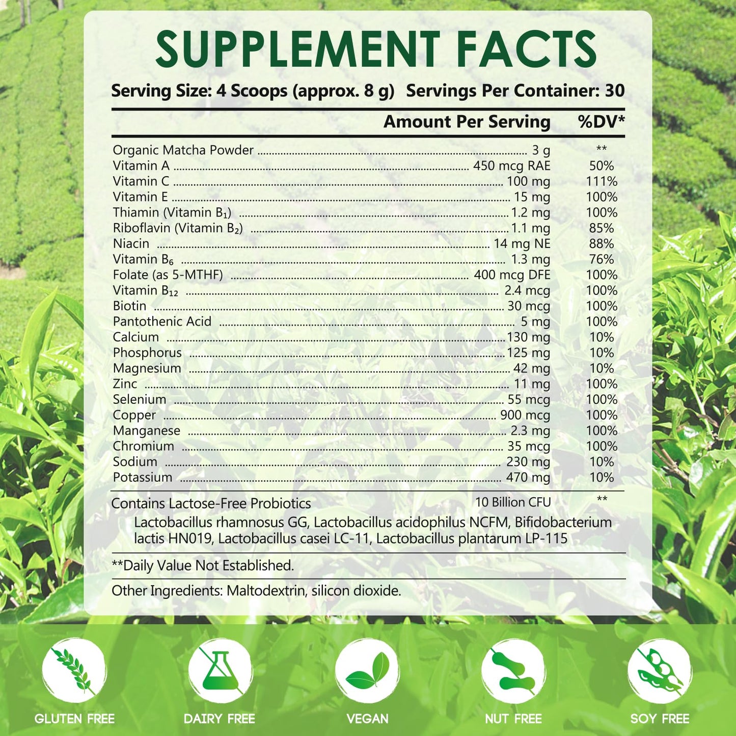 DR YES Organic Grade Matcha Powder 8.47 oz