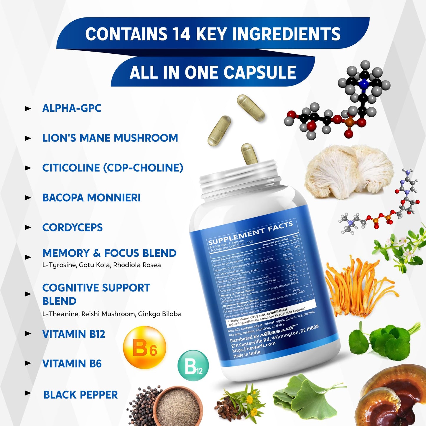 NESSARIT Liposomal Alpha-GPC, Lion’s Mane, Citicoline, Bacopa Monnieri & Cordyceps – Support Memory, Focus & Brain Health – 150 Capsules