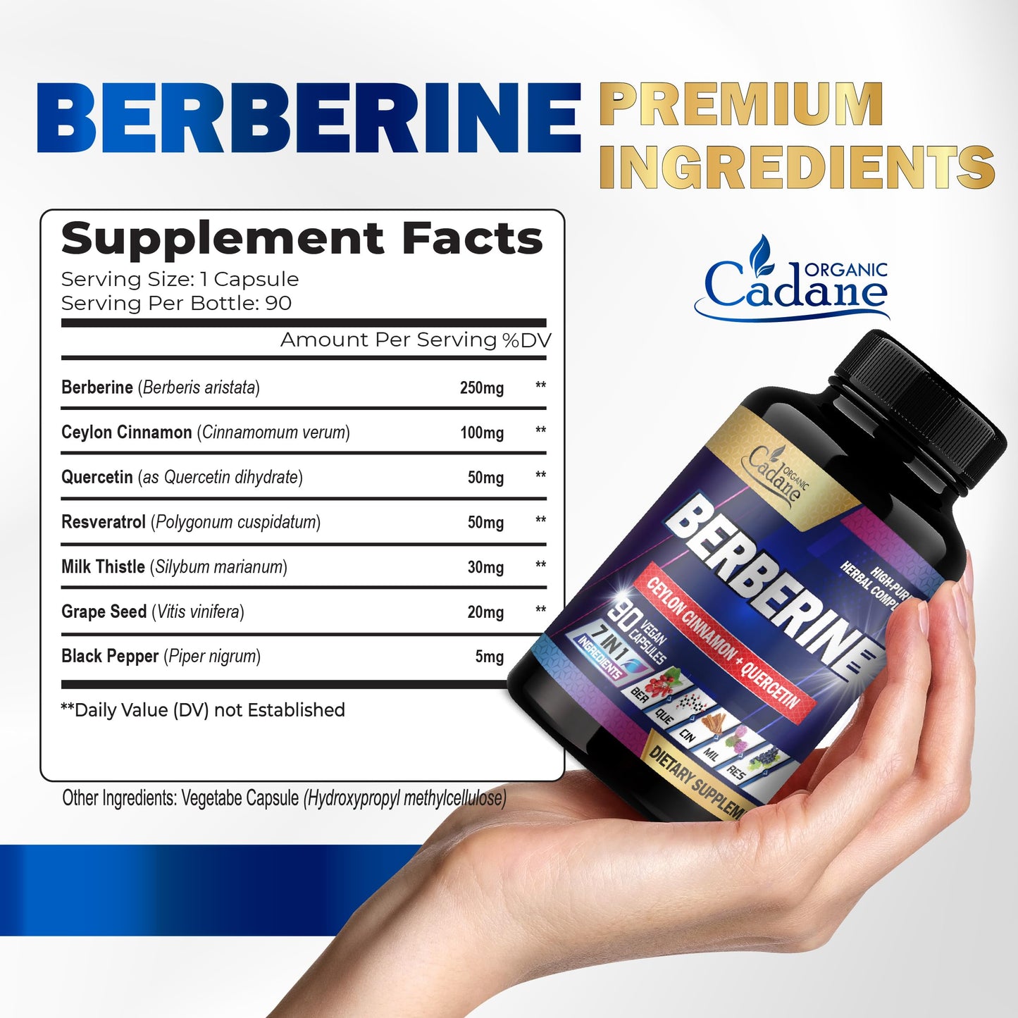 Organic Cadane Berberine Supplement Capsules 90 Count