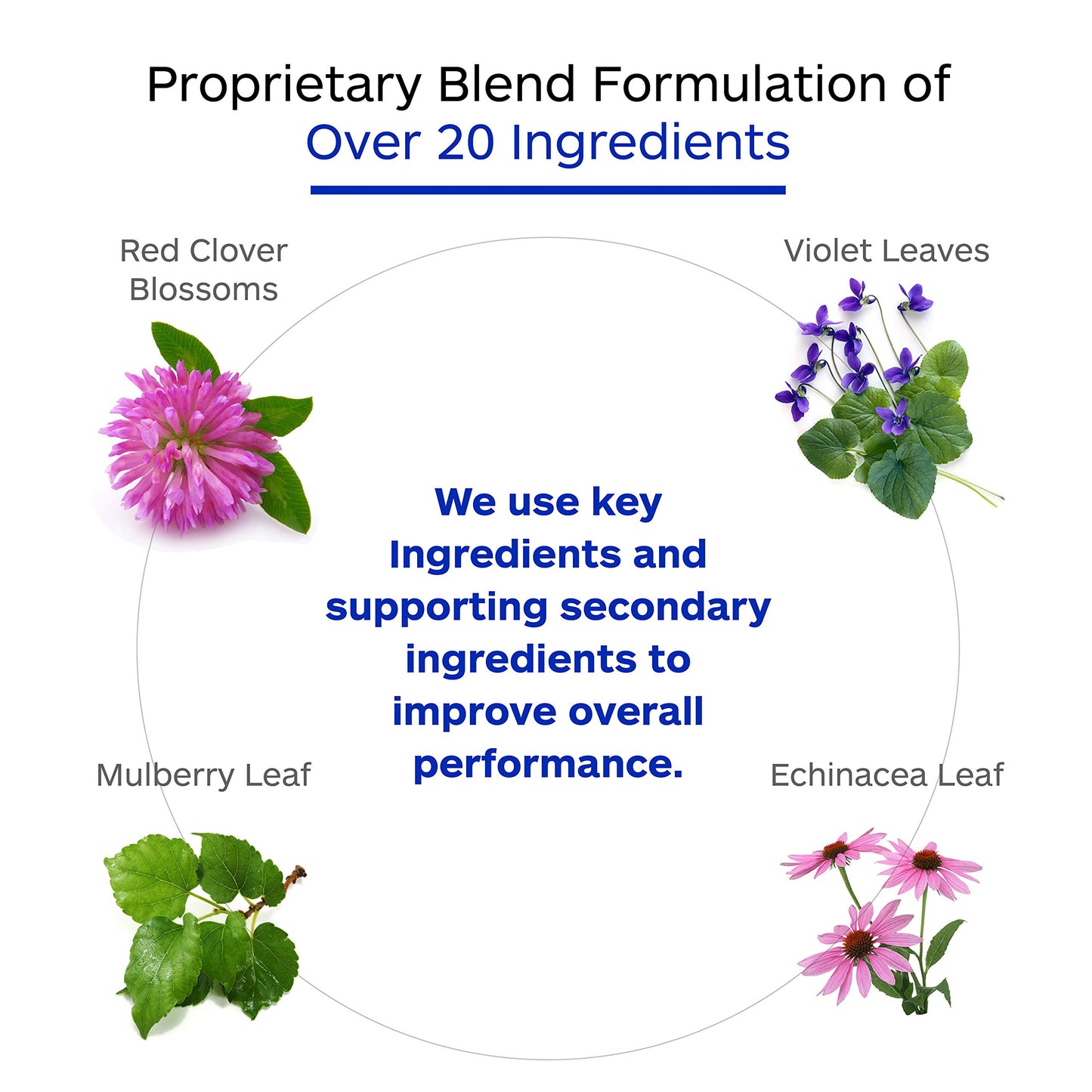 Professional Botanicals Cell Detox Vegan Cell Cleansing & Detoxification Supplement - 60 Veg Capsules