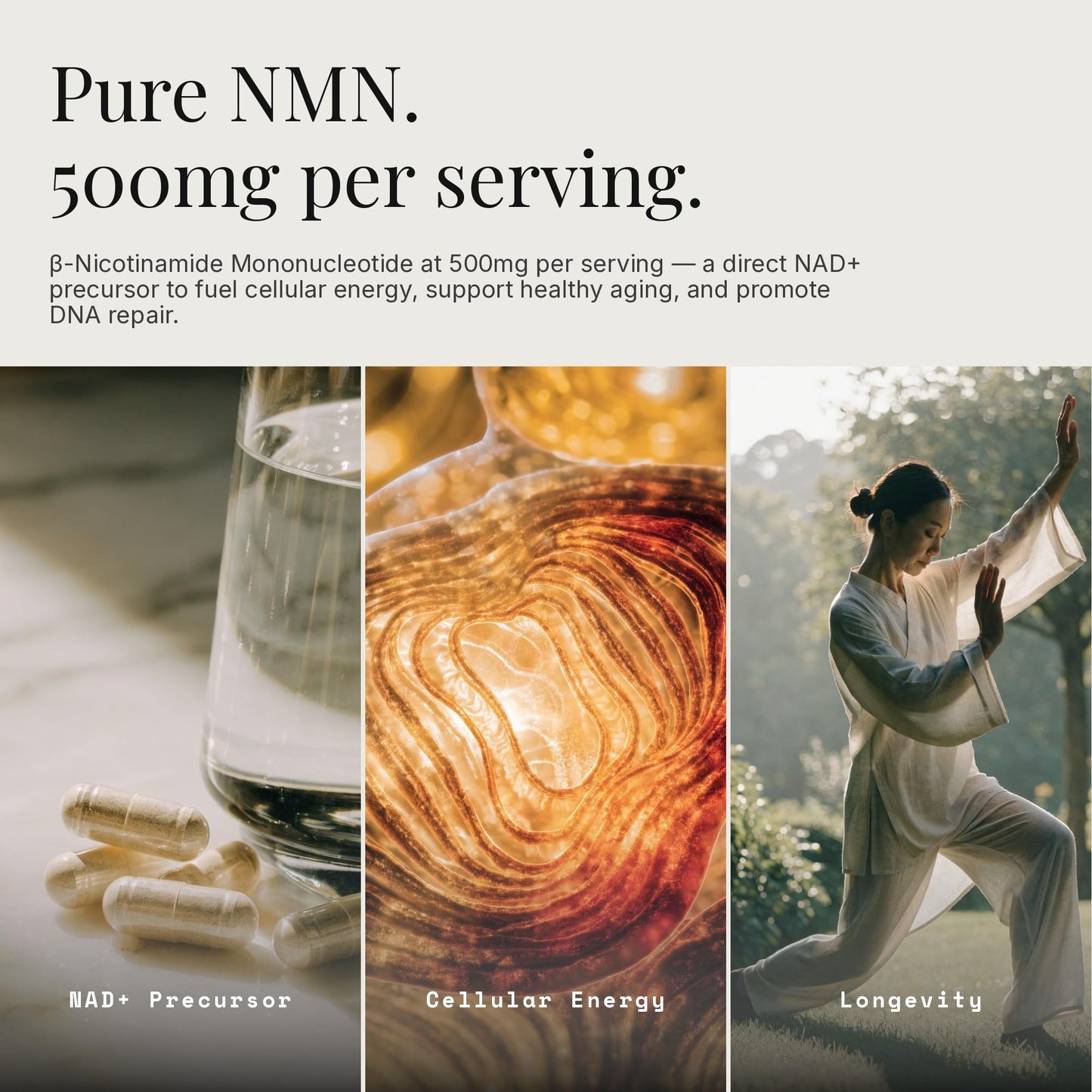 Dear Apothecary NMN 500mg Nicotinamide Mononucleotide NAD+ Precursor Supplement, Capsule, 60 Count