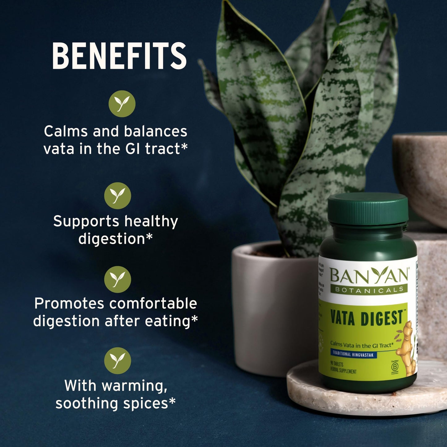 Banyan Botanicals Organic Vata Digest – Warming Digestive Support Supplement – Herbal Bloat & Gas Relief with Ginger, Cumin & Ajwan – 90 Tablets