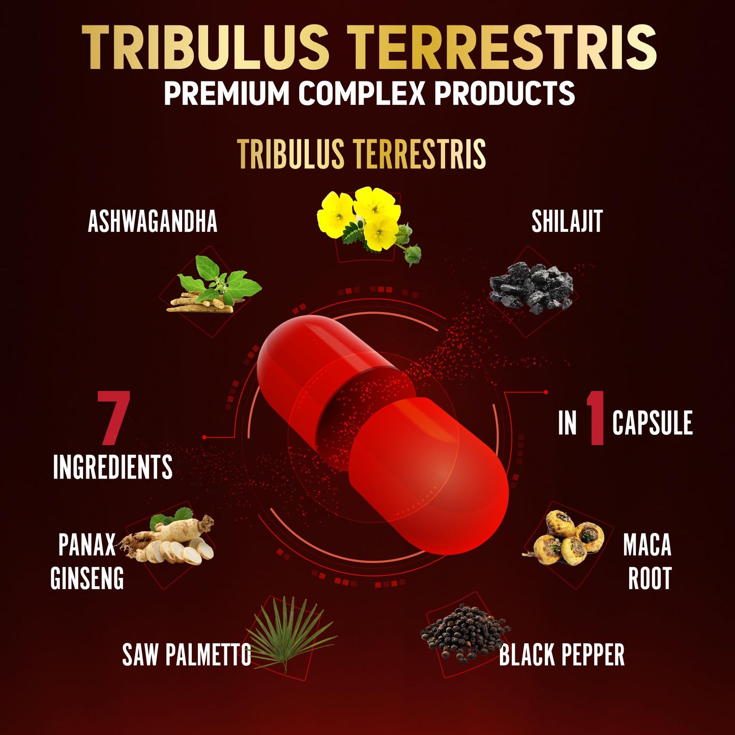Zolotus Tribulus Terrestris Capsule, 90 Count