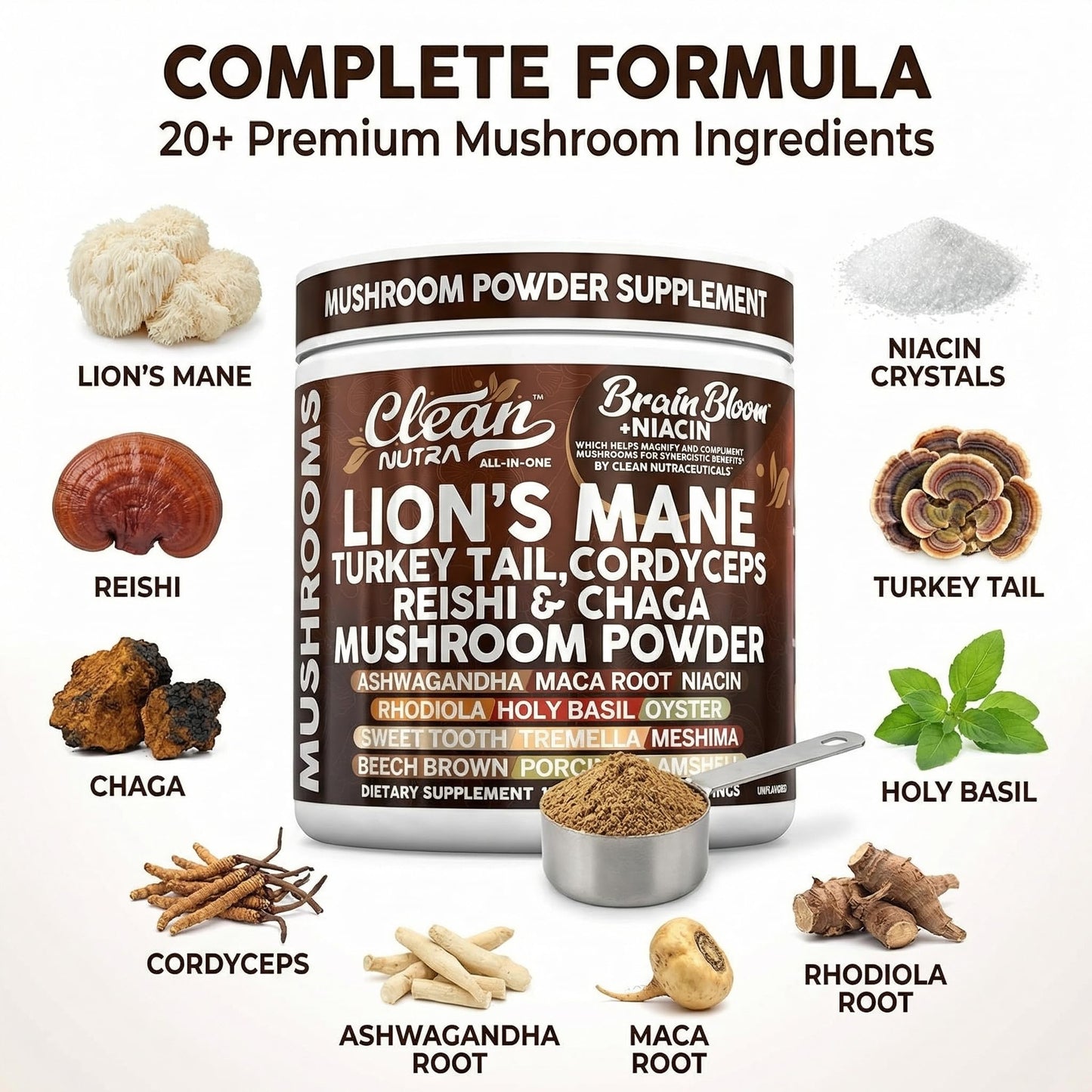 Clean Nutraceuticals Lion's Mane Turkey Tail Cordyceps Reishi Chaga Mushroom Powder 5.29 Ounce