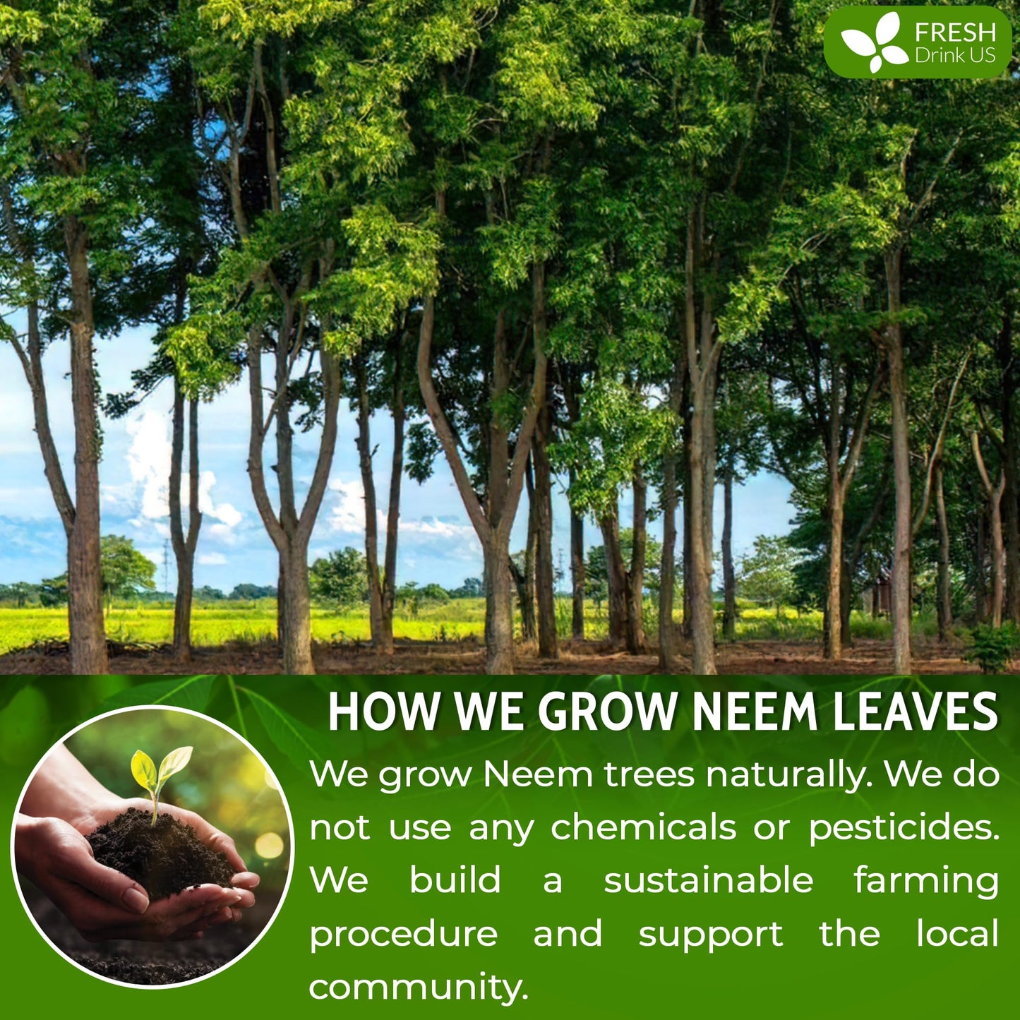 FRESHDRINKUS Neem Leaf Powder 10oz