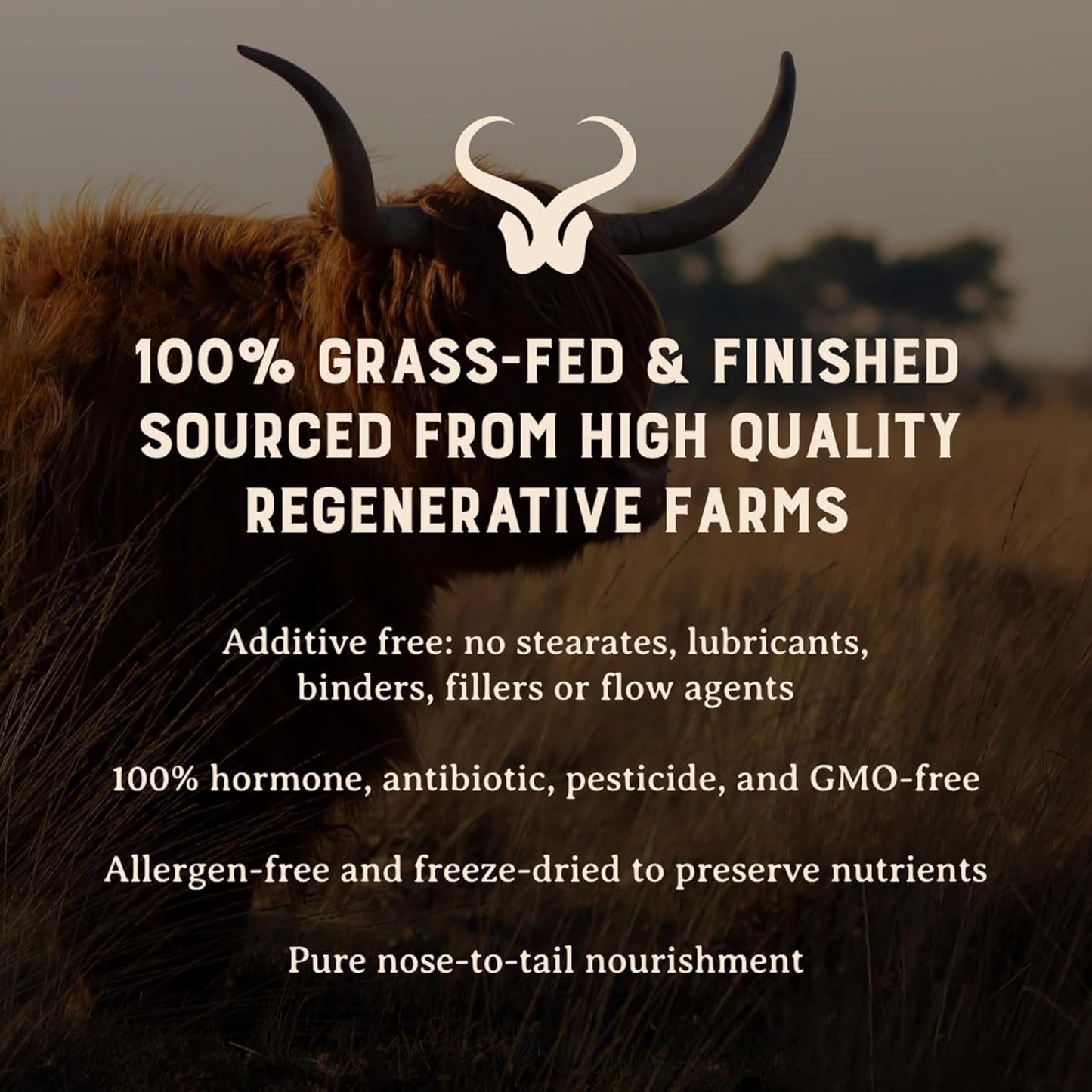 Heart & Soil Bone Marrow & Beef Liver from Regenerative Cattle – 100% Grass Fed & Finished – Multi-Vitamin & Mineral, 180 Capsules