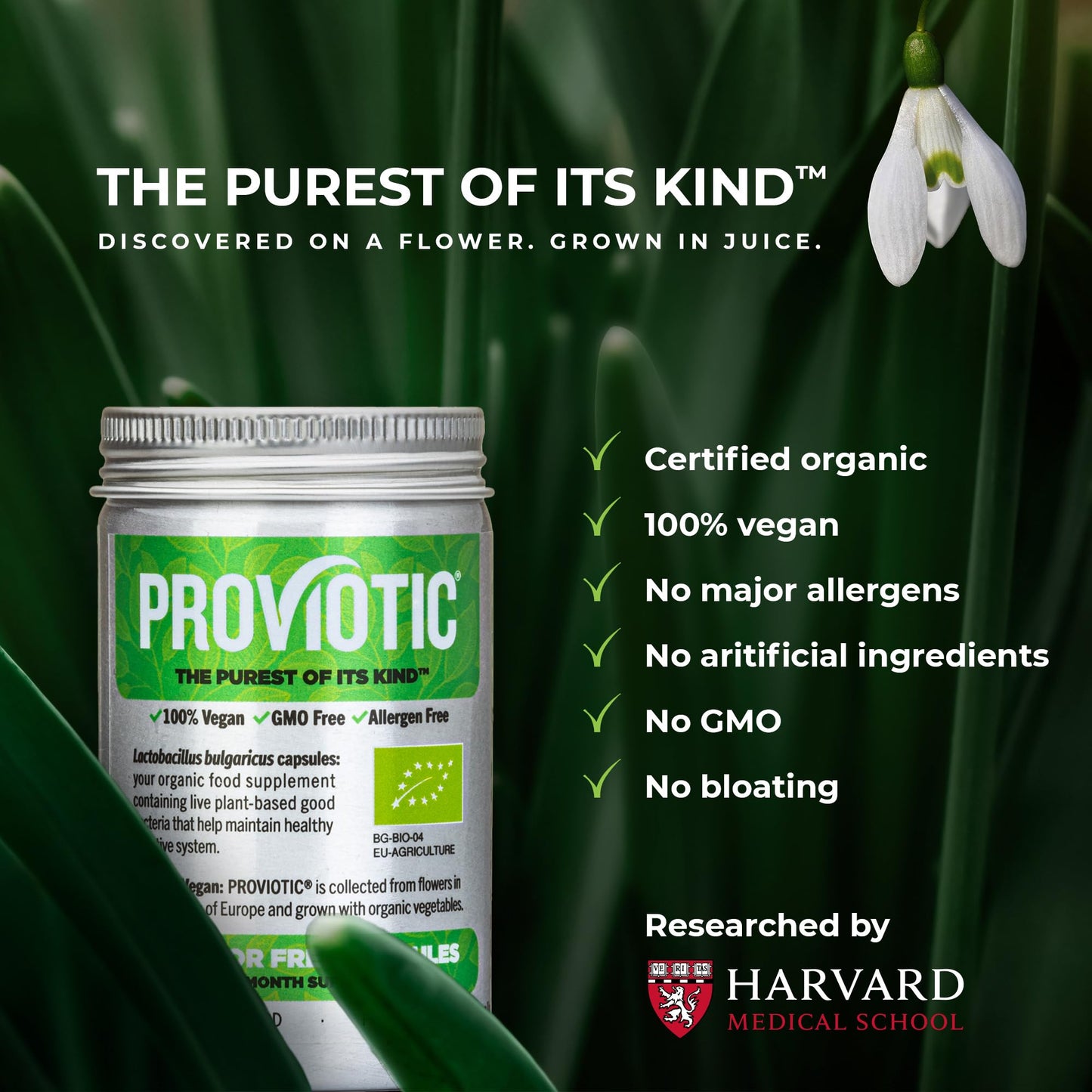PROVIOTIC Vegan Probiotic Supplement Capsules 30 Count