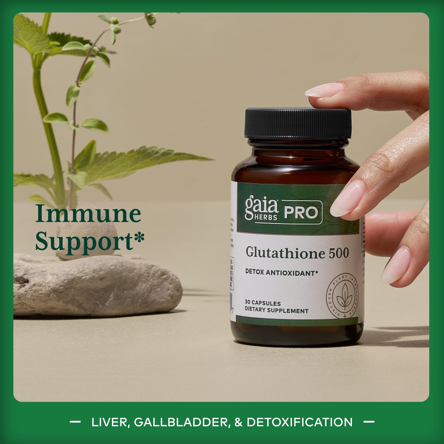 Gaia Herbs PRO Glutathione 500 Capsule, 30 Capsules