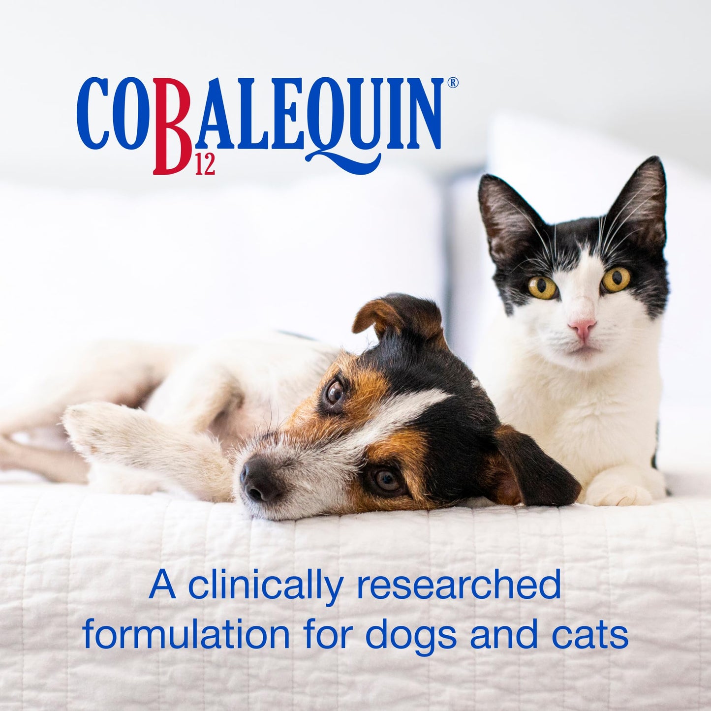Nutramax Laboratories Cobalequin B12 for Dogs and Cats 90 Tablets