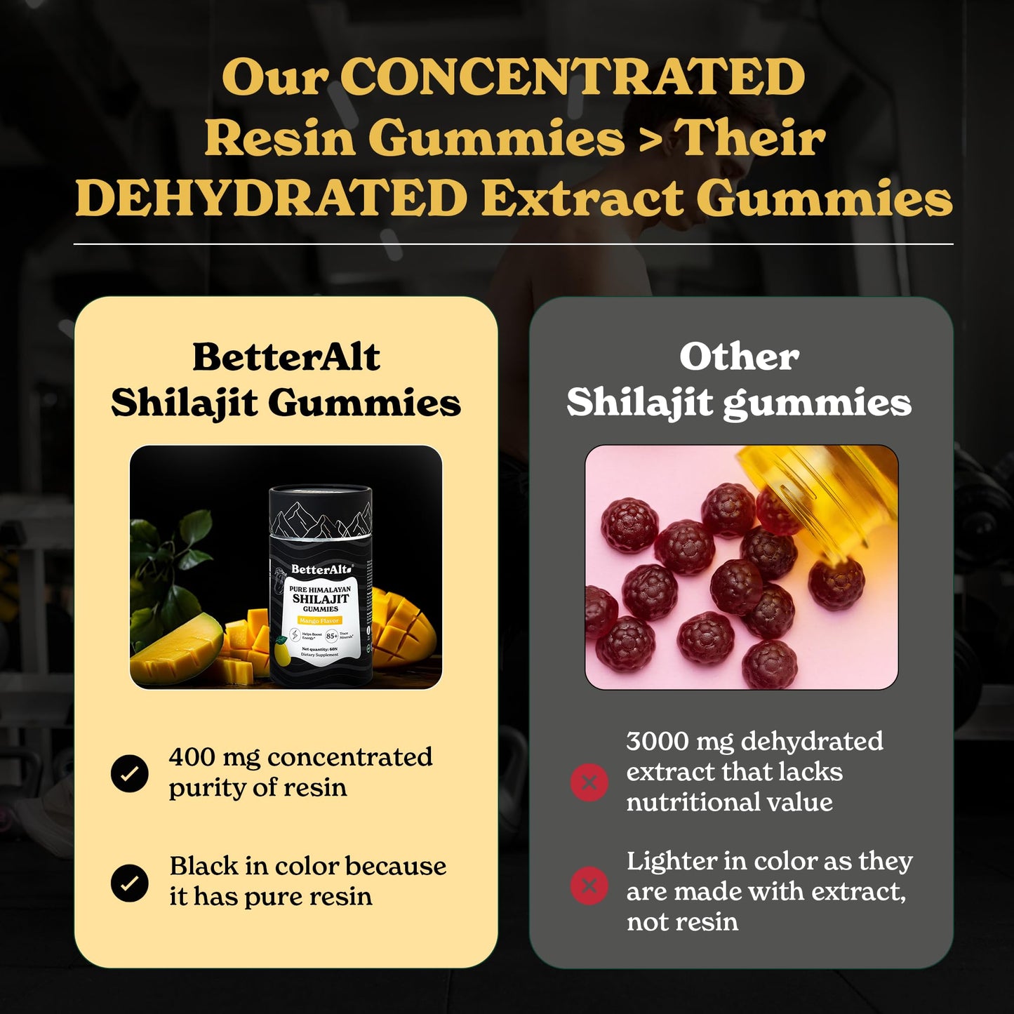 Better Alt Pure Himalayan Shilajit Capsule 60 Count