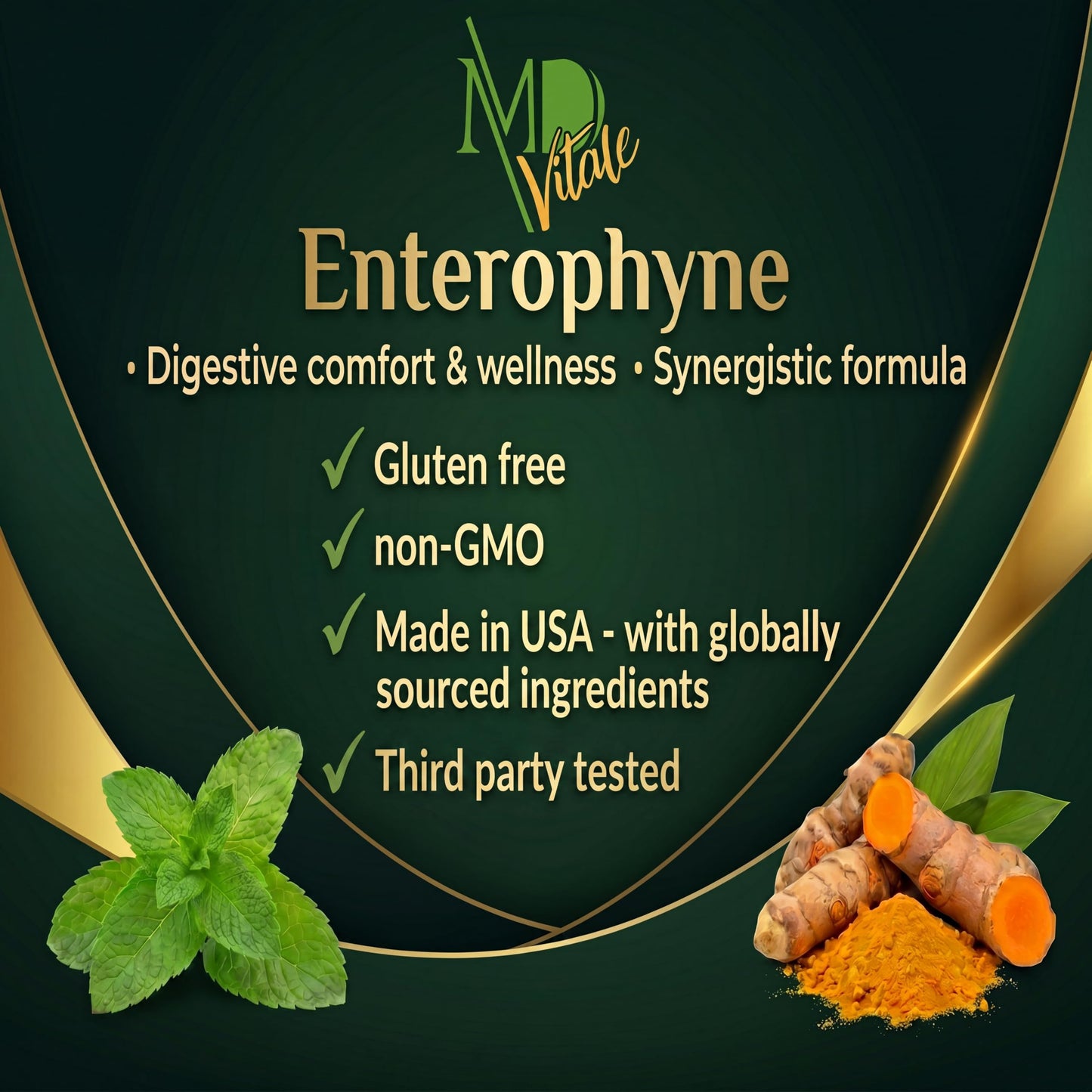 MD Vitale Enterophyne Digestive Support Supplement Capsule, 60 Veggie Capsules