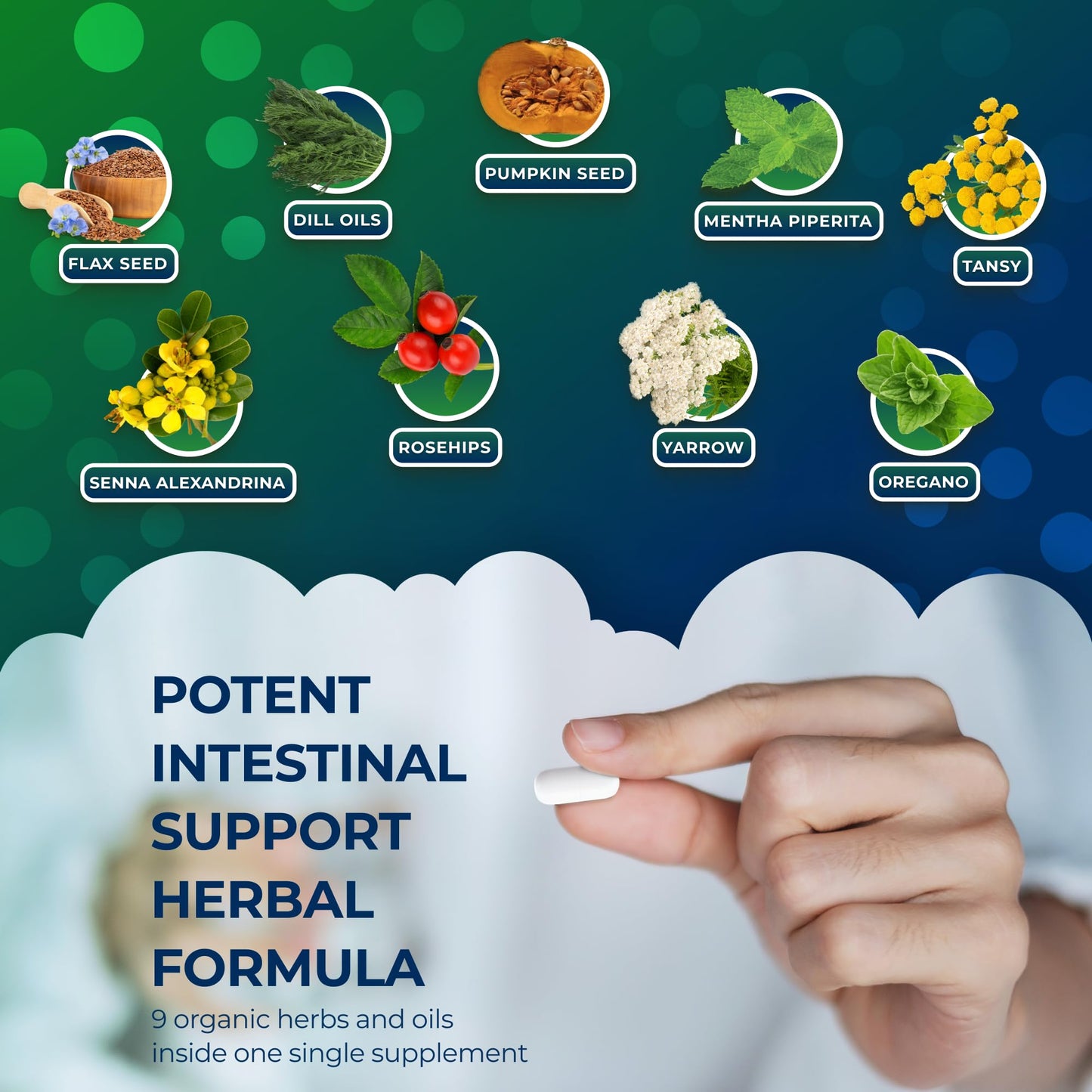 CORSA365 Herbal Intestinal Support Capsule, 60 Capsules