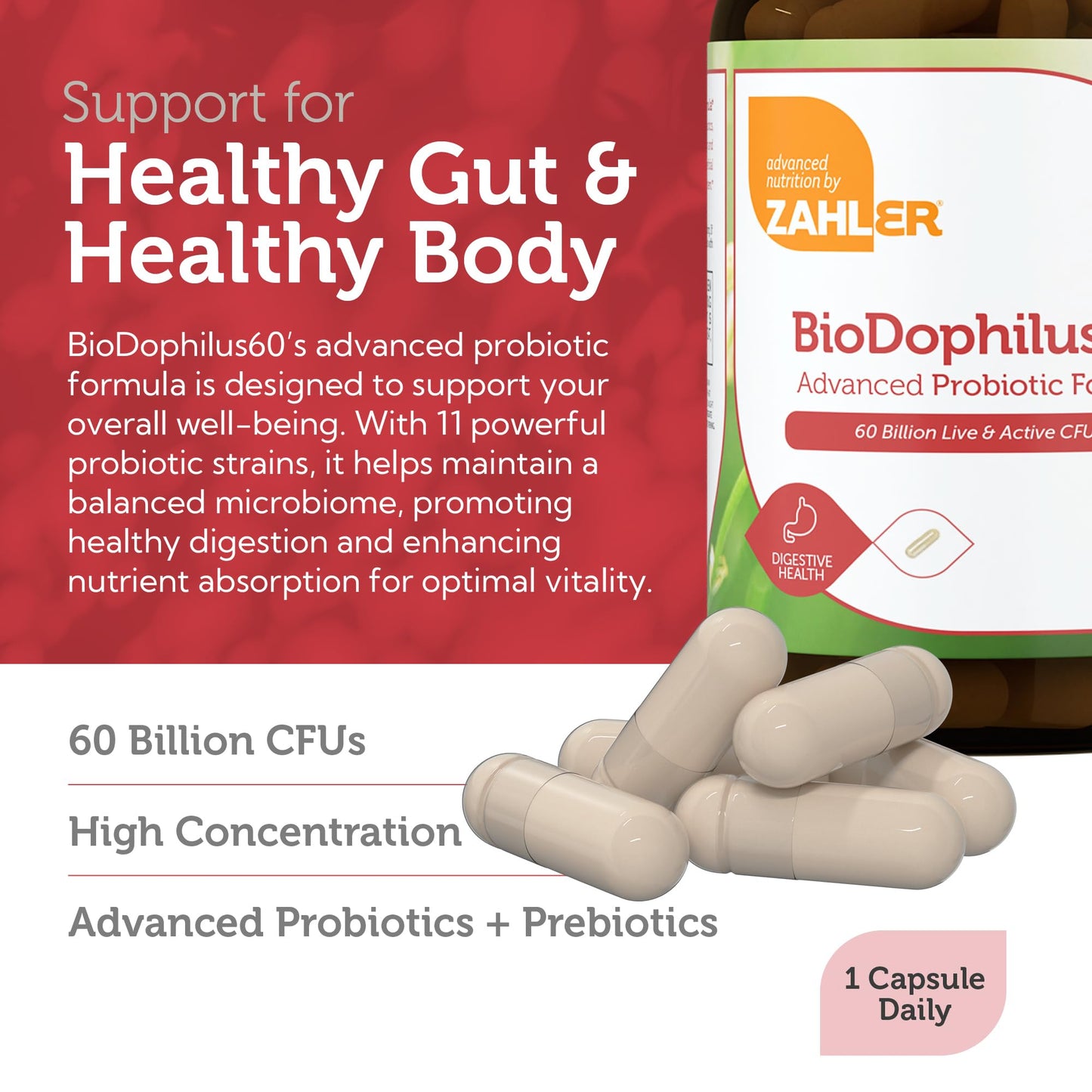 Zahler BioDophilus60 Probiotic + Prebiotic - 11 Strains Daily Probiotic Supplement, Capsule, 60 Capsules