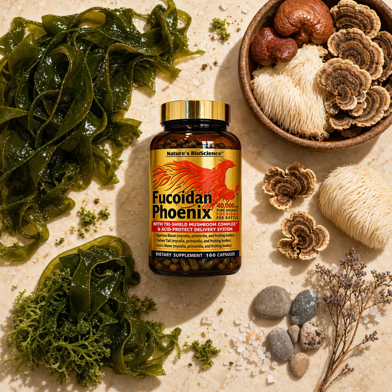 Nature's Bioscience FUCOIDAN Phoenix Advanced Pure Organic Fucoidan + Pure Mushroom Capsule, 160 Count