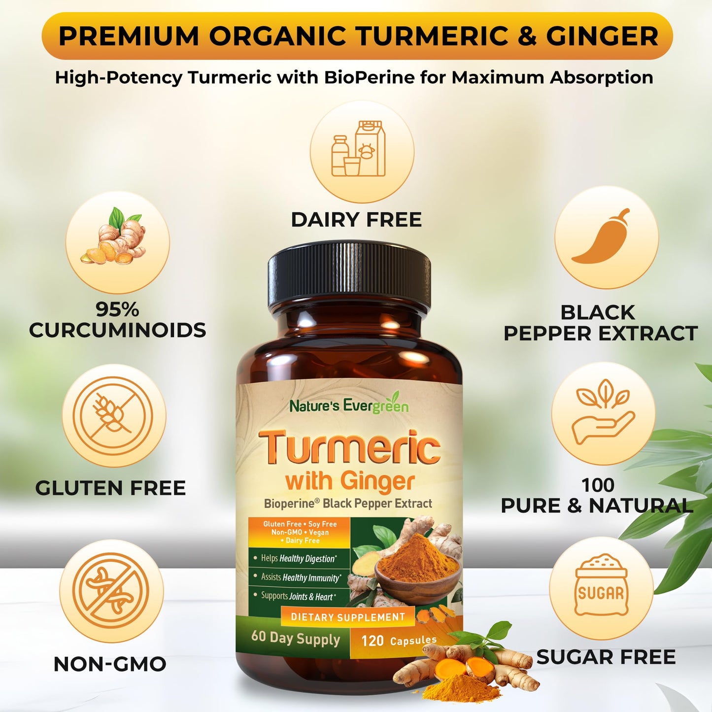 Nature's Evergreen Turmeric with Ginger Root Joint Support Supplement Capsule 1 Count