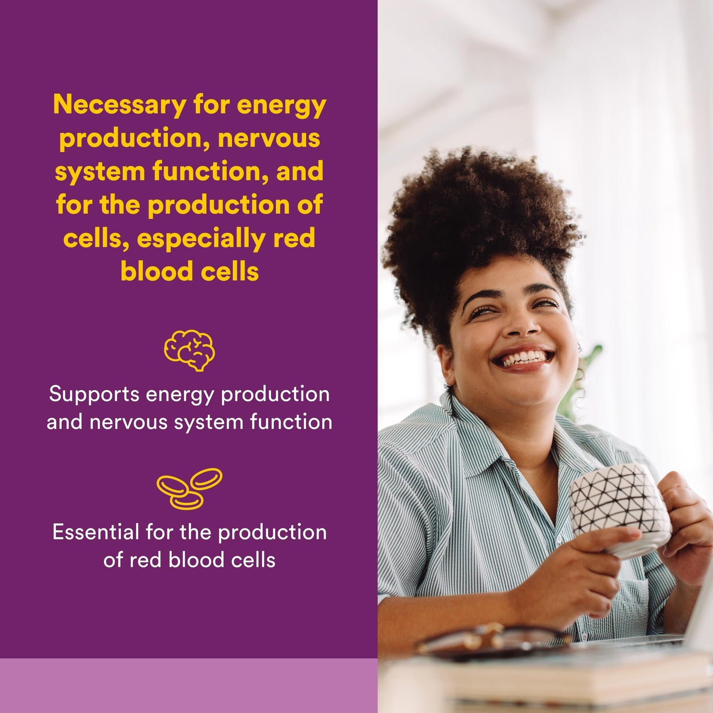 Natural Factors Vitamin B12 Cyanocobalamin 1000 mcg Tablets 60