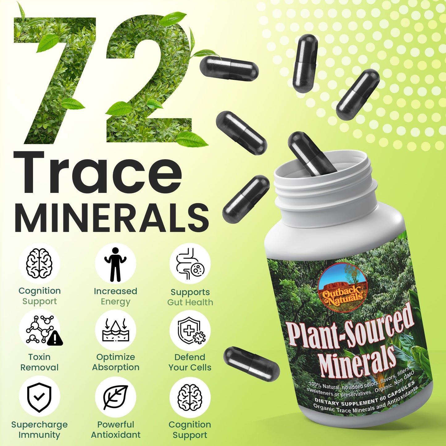 Outback Naturals Fulvic Humic Mineral Blend of Trace Minerals, Electrolytes, Gut Health, Cognitive Function, Hydration & Immune Support, Pure Vitality Formula for Wellness Capsule 60 Count