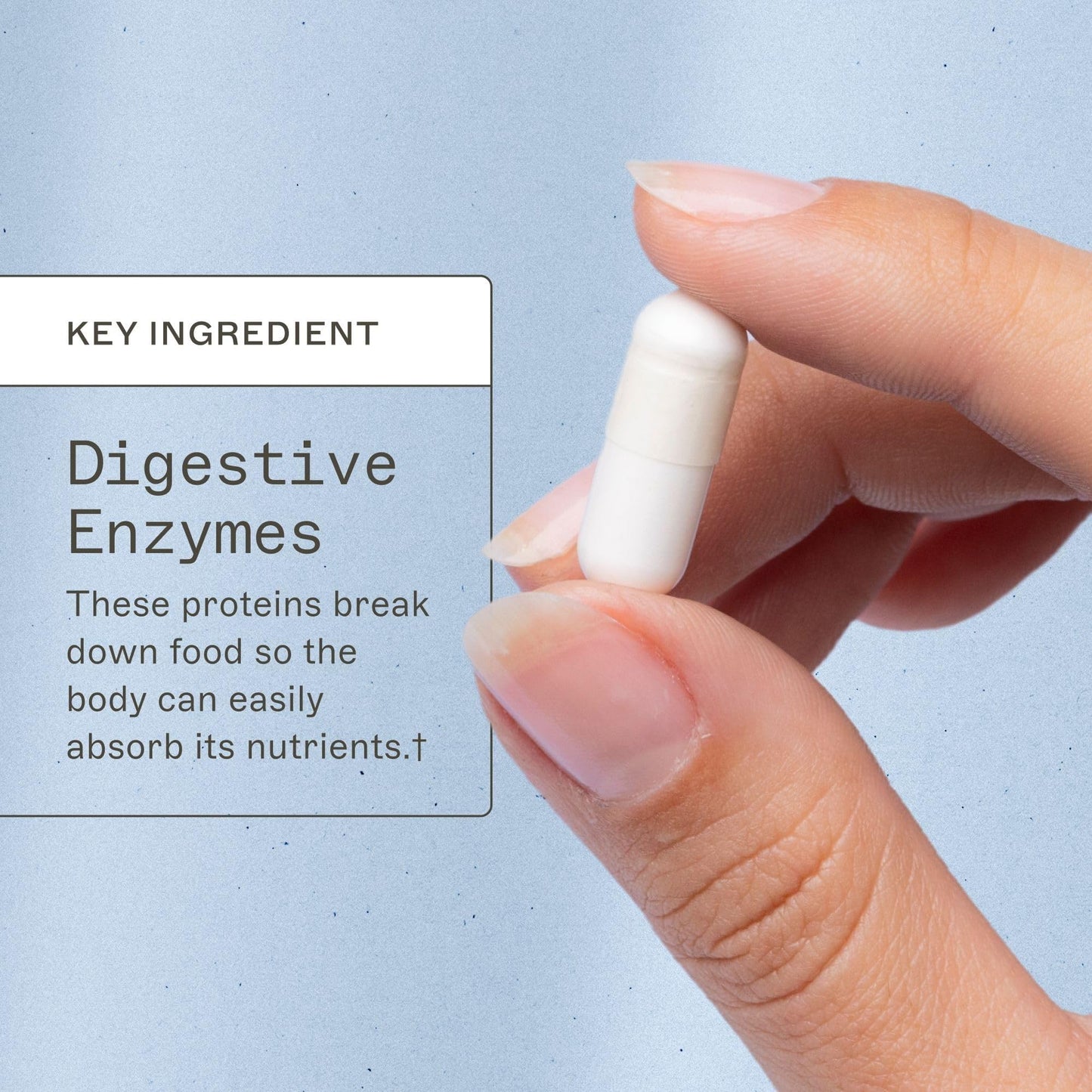 Amy Myers MD Candifense Candida Overgrowth Supplement, 120 Capsules